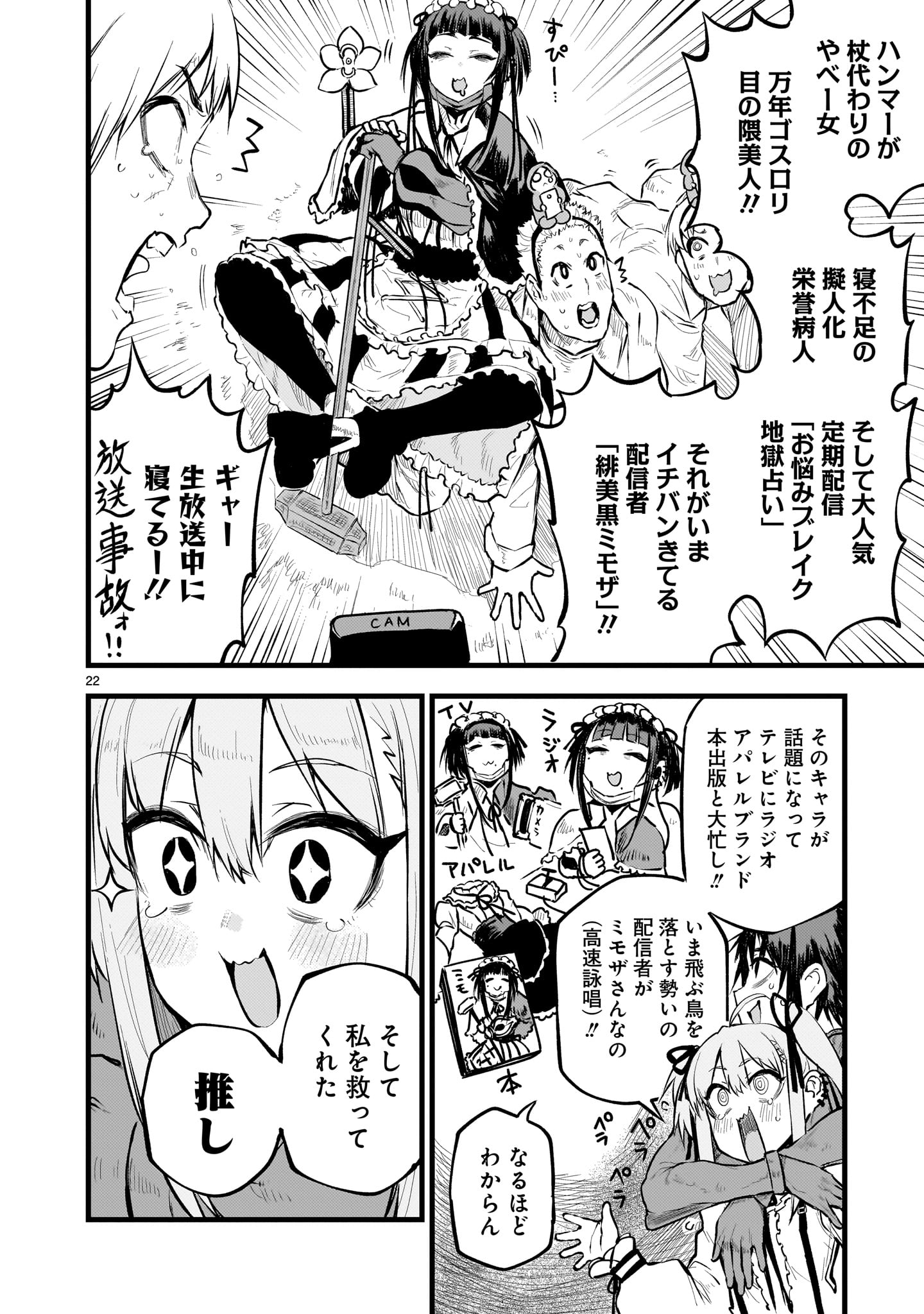 Page 22