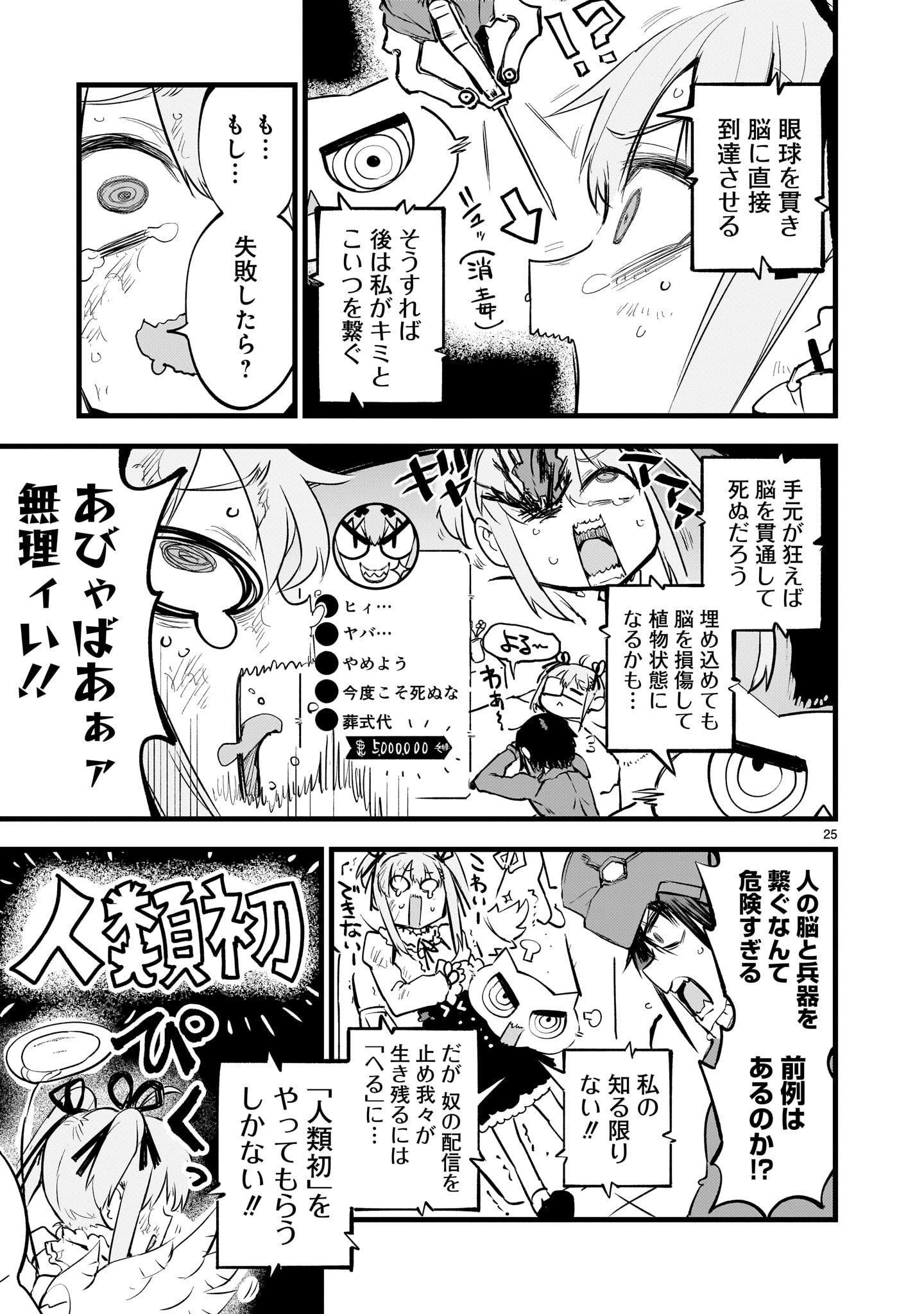 Page 25