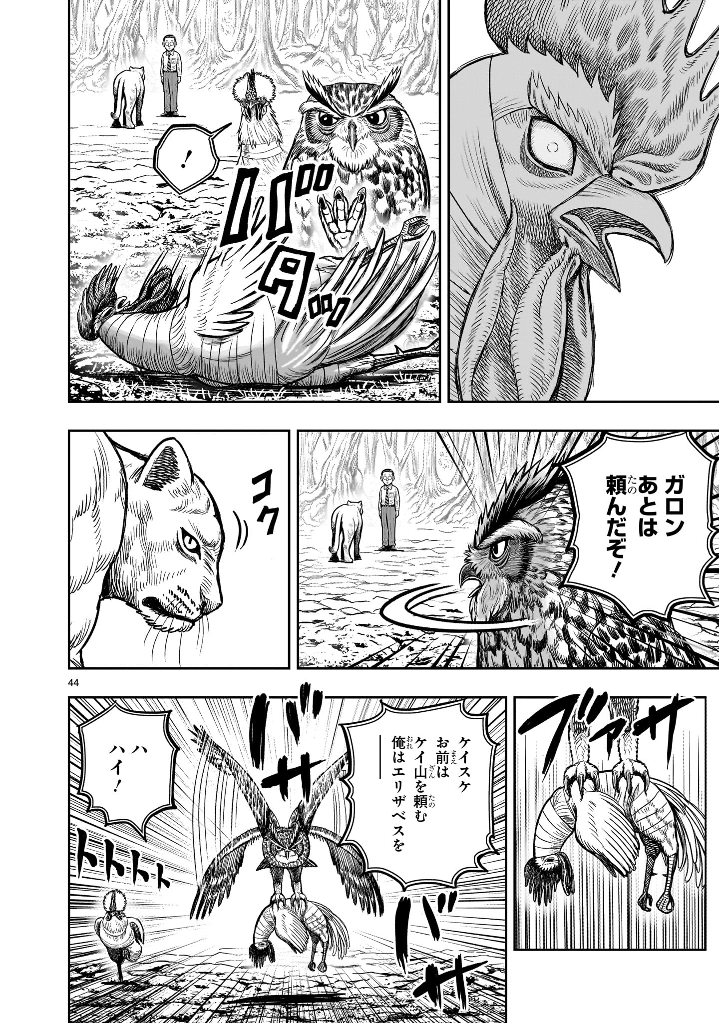 Page 44