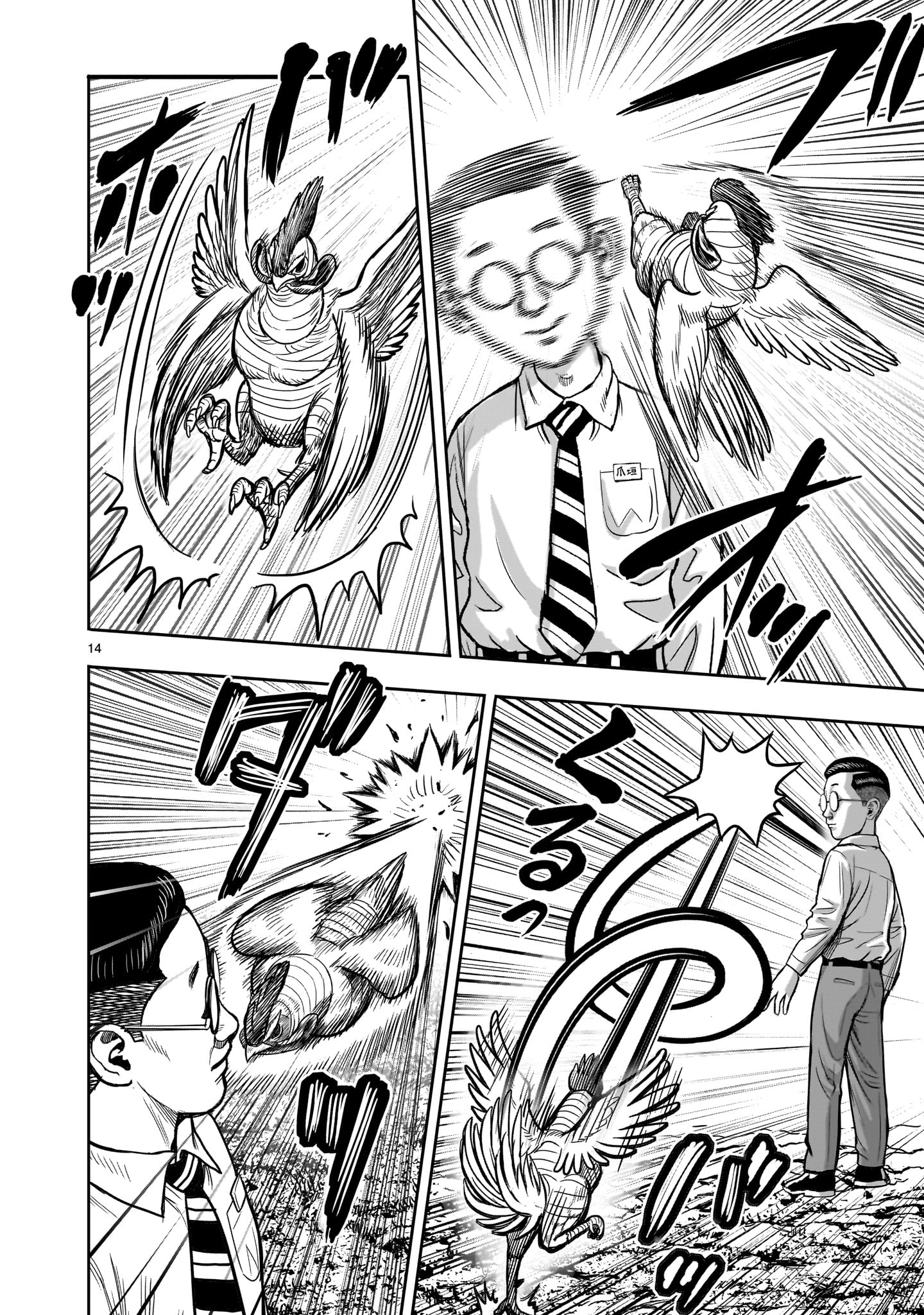 Page 14