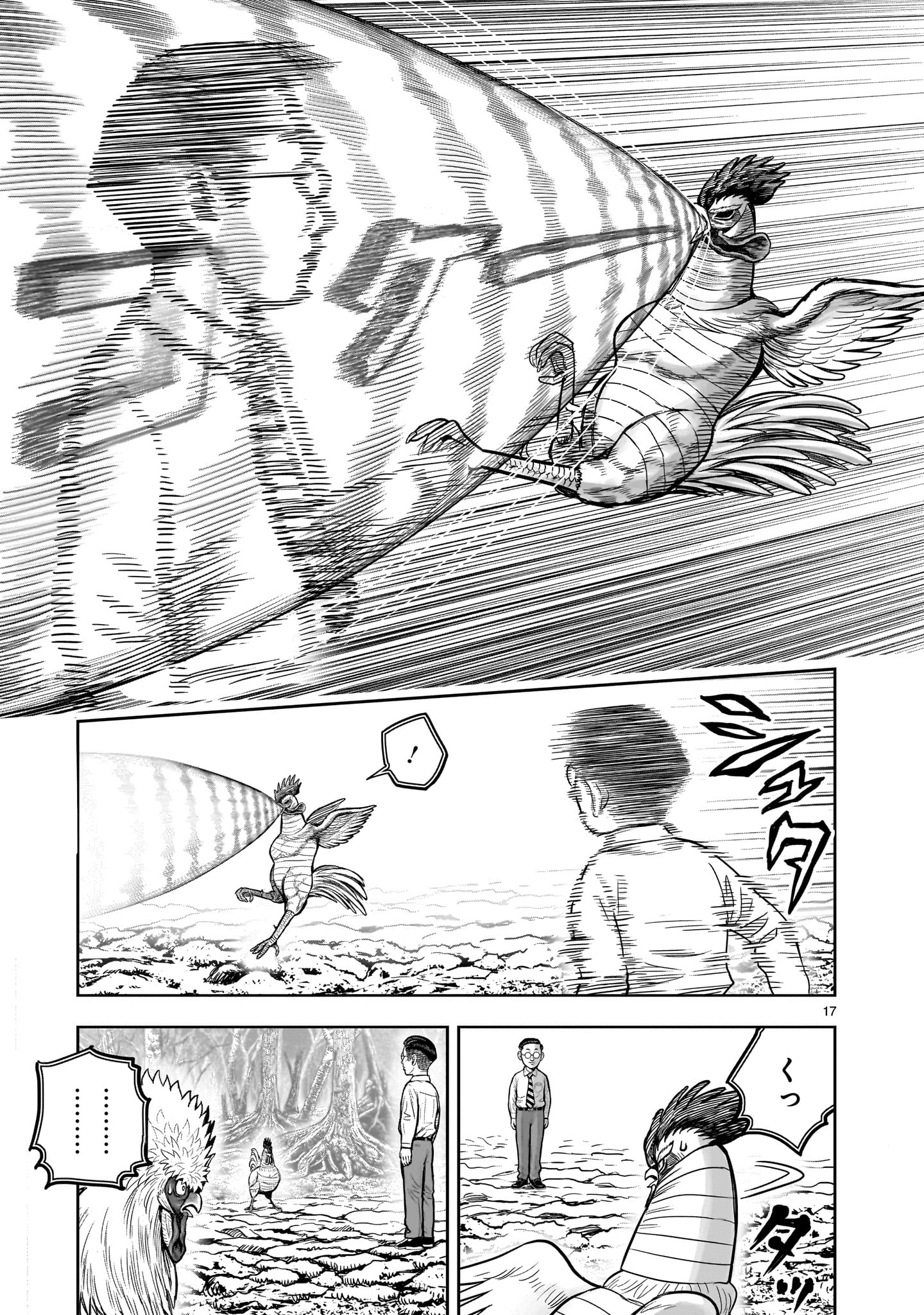 Page 17