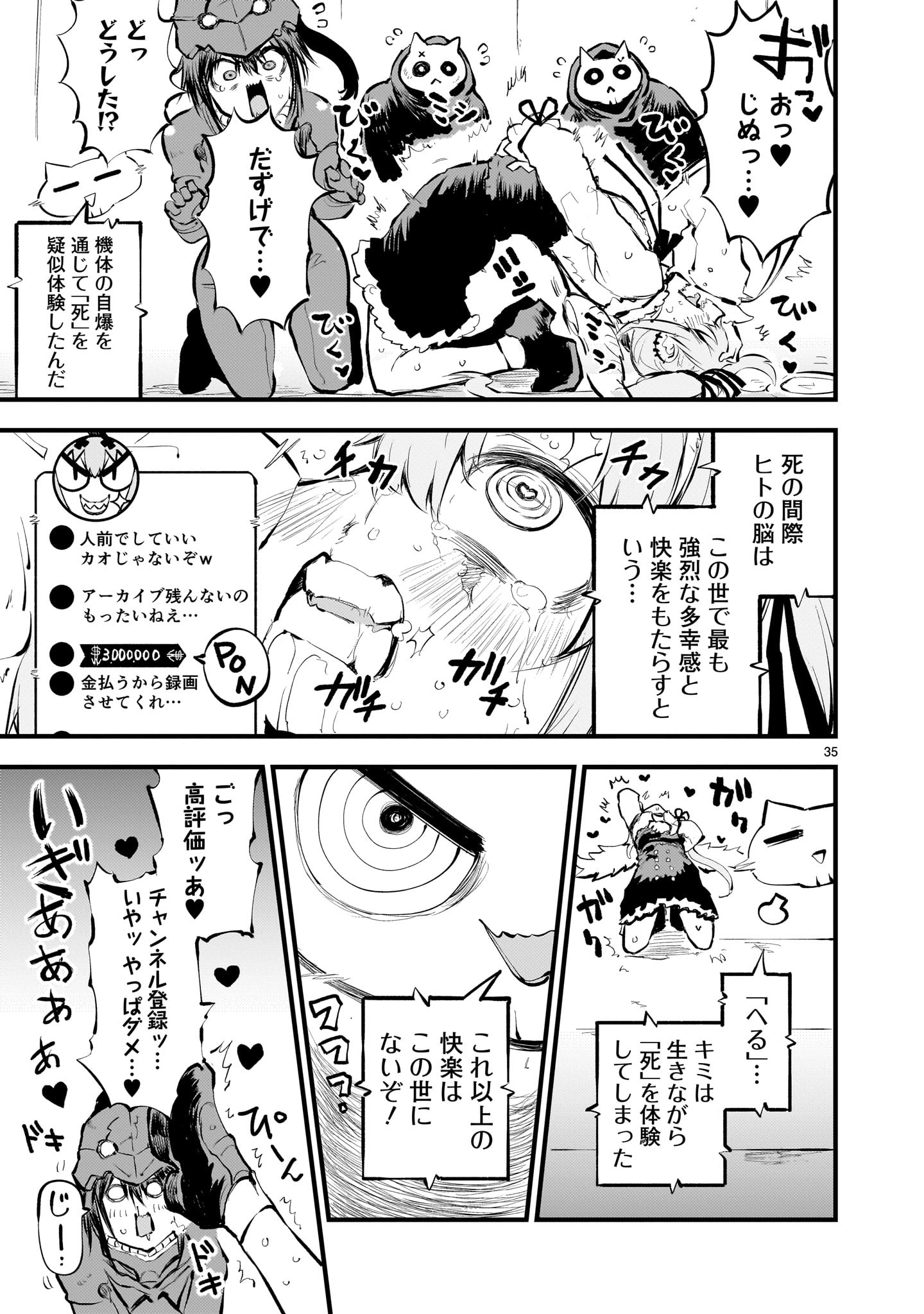 Page 35