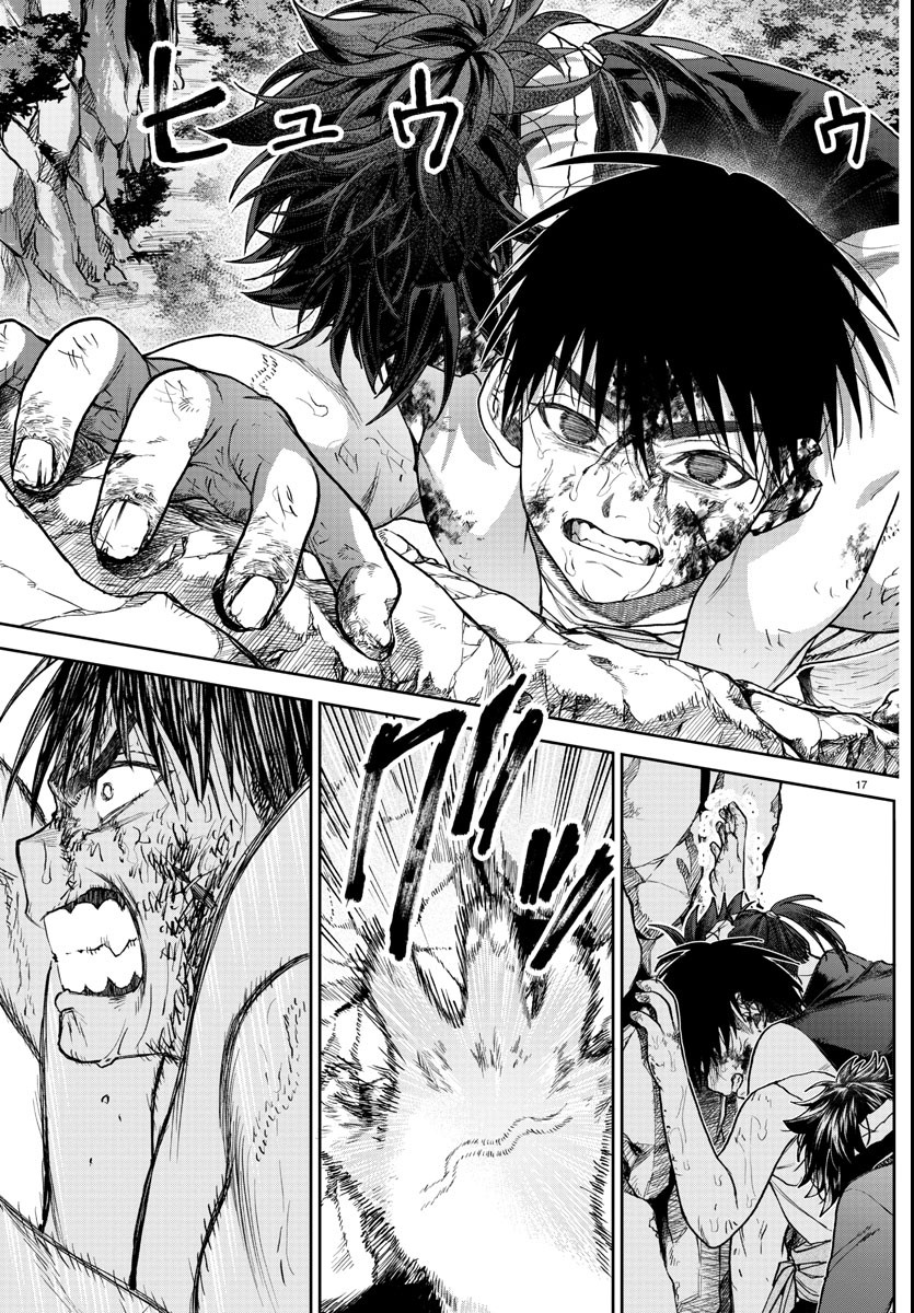 Page 17