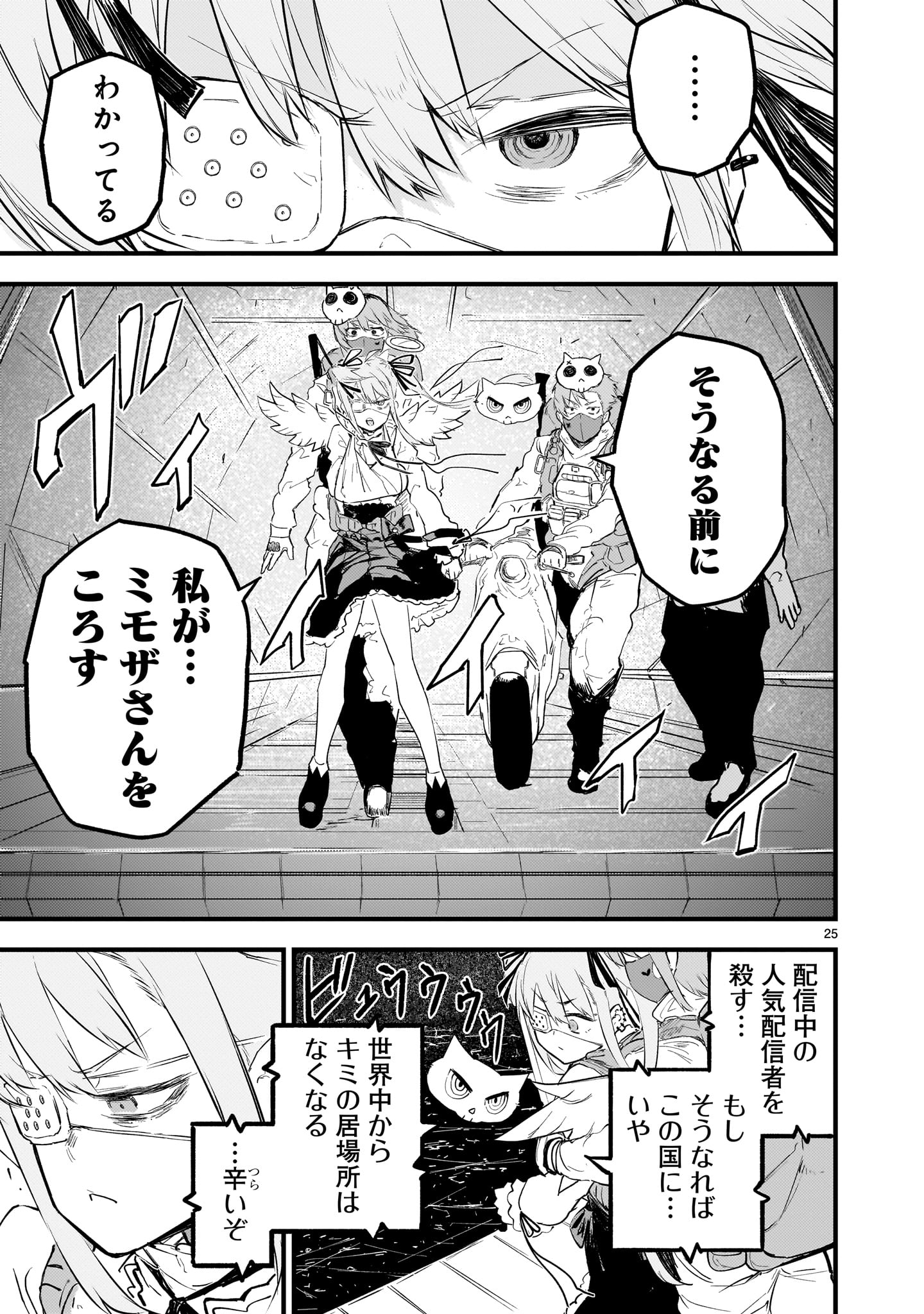 Page 25