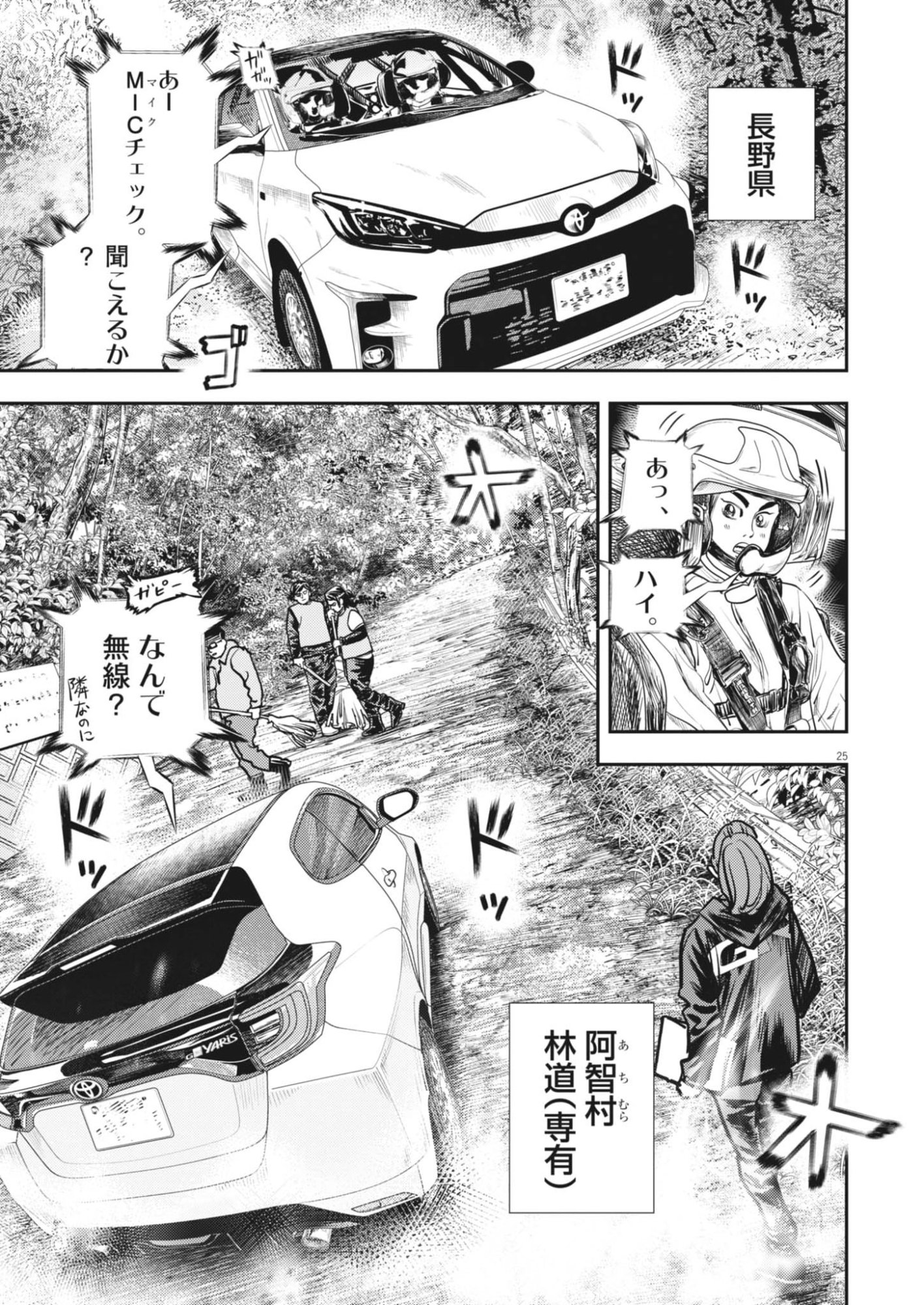 Page 25