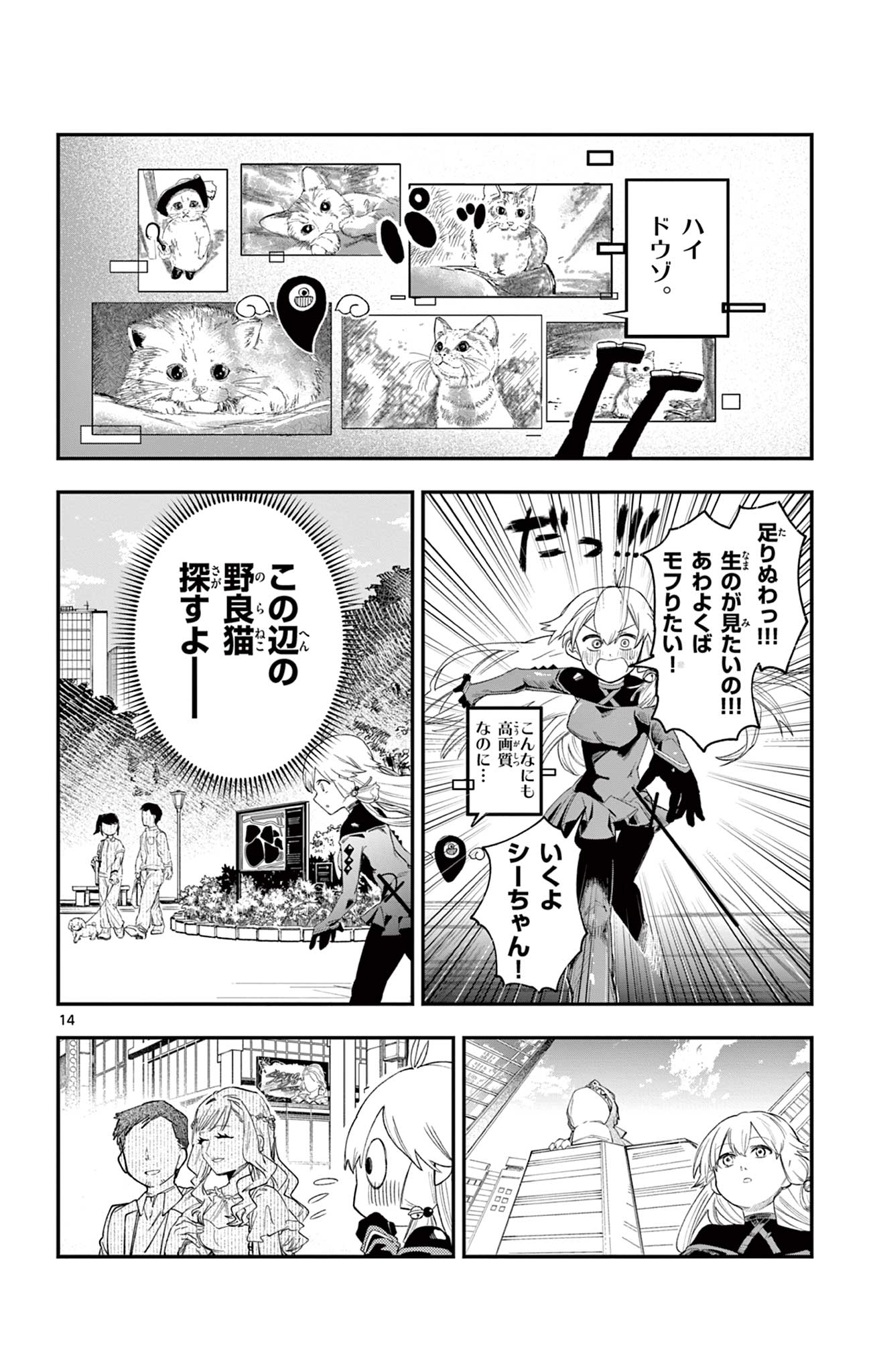 Page 14