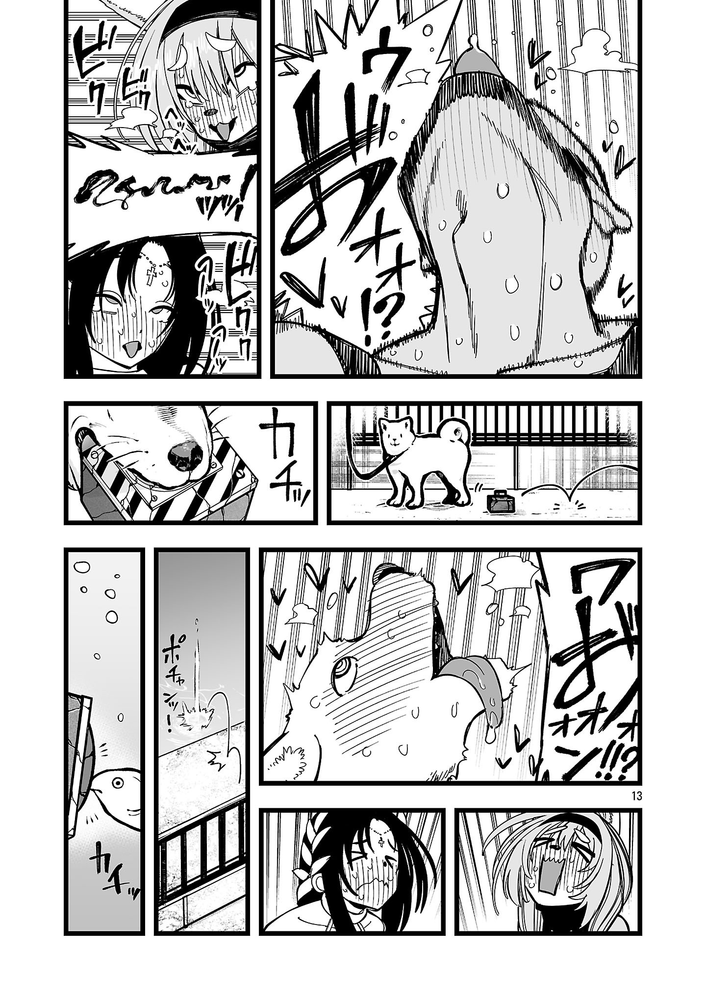 Page 13