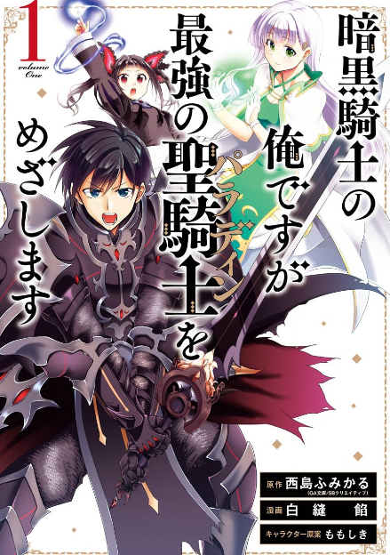 Im a Dark Knight but Aim to be the Strongest Holy Knight