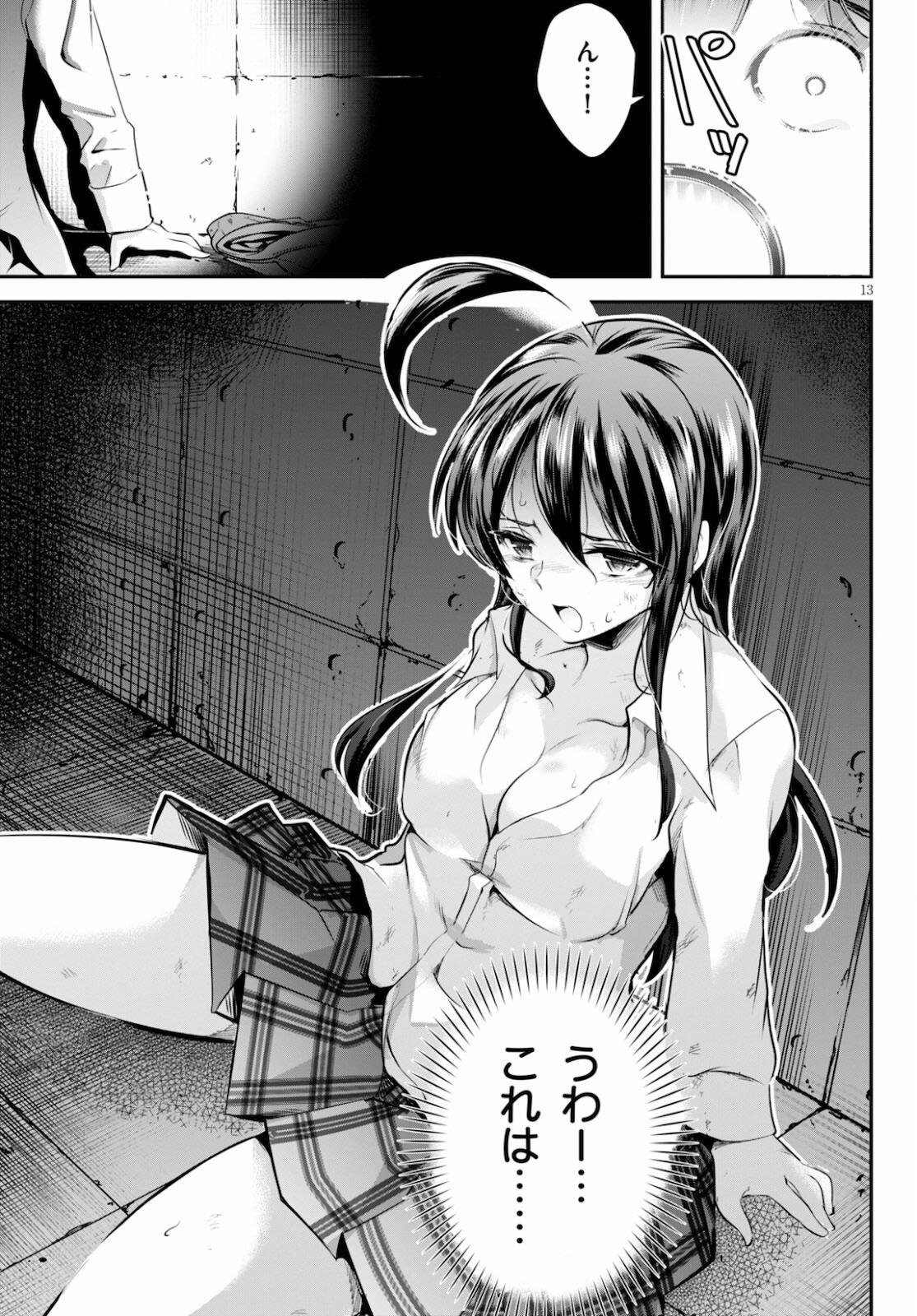 Page 13