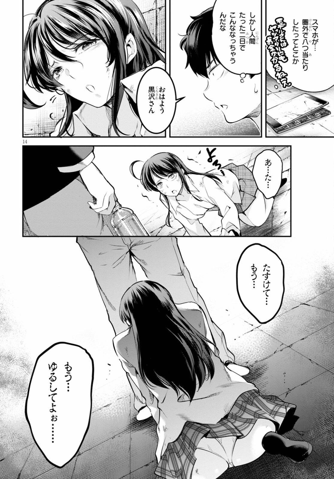 Page 14