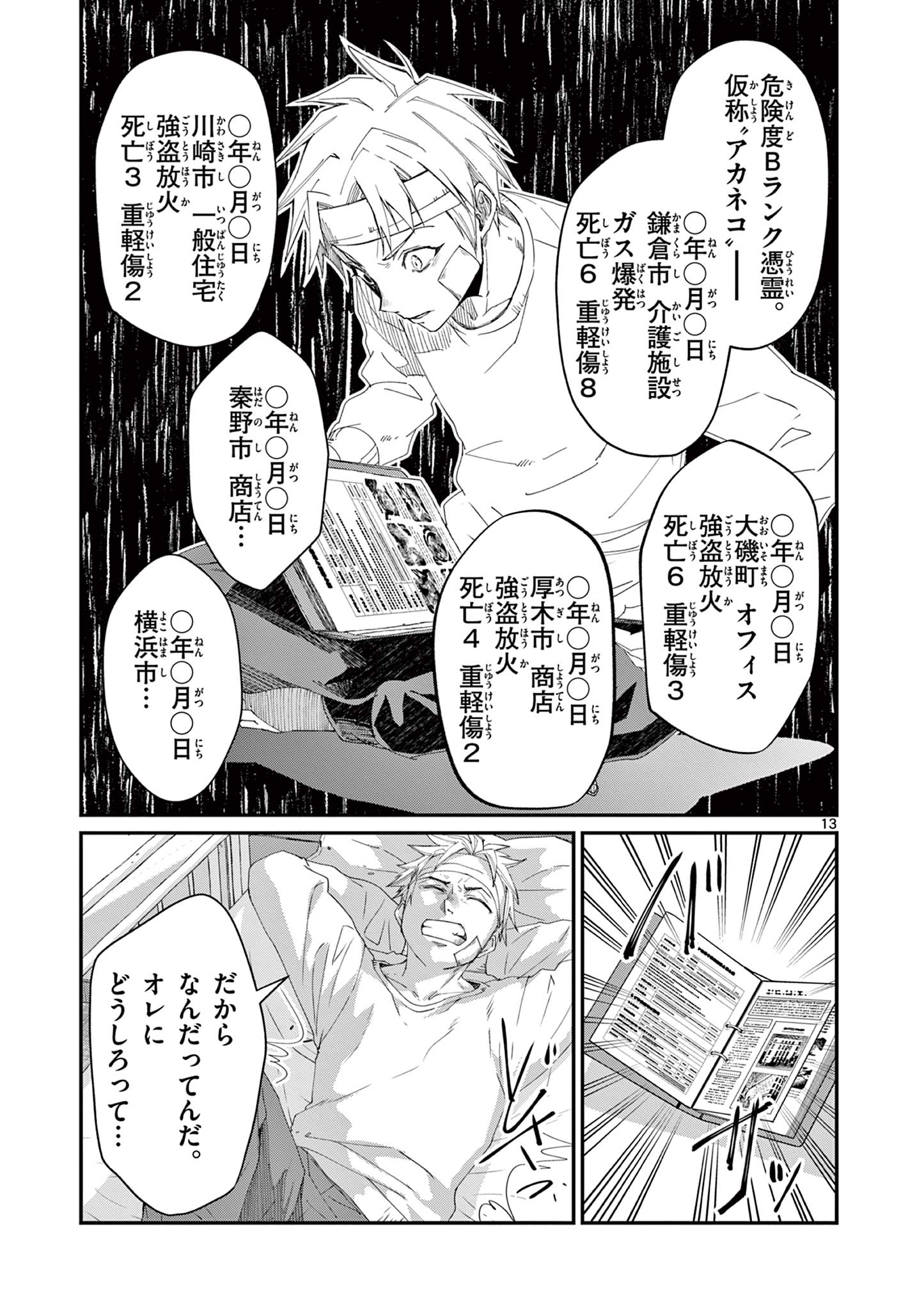 Page 13