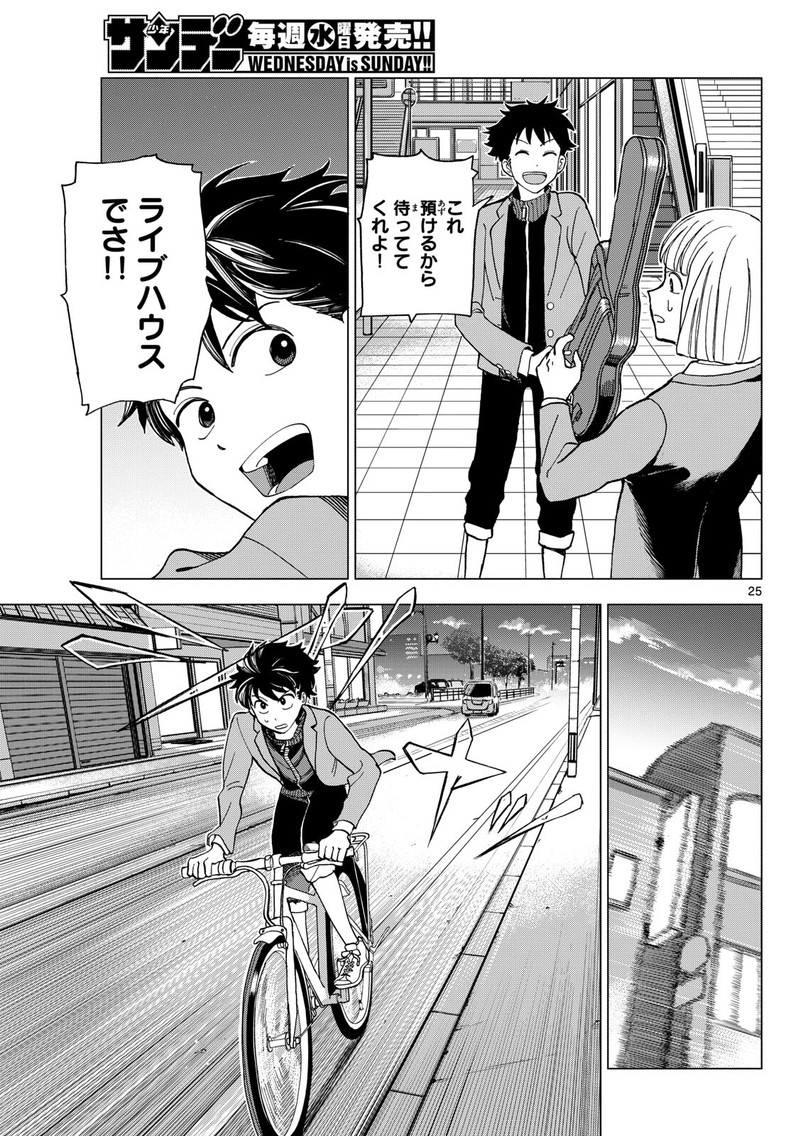 Page 25