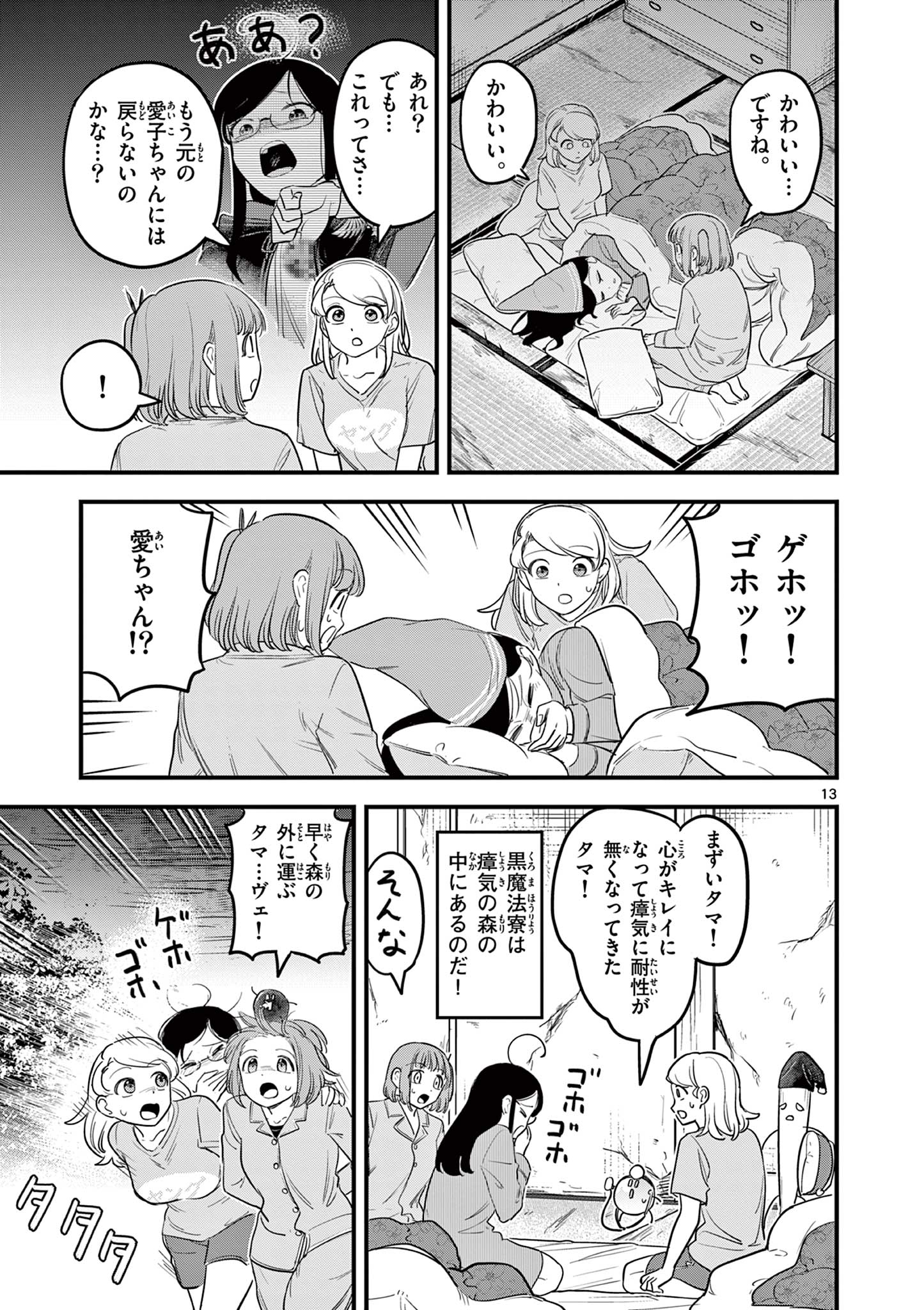 Page 13