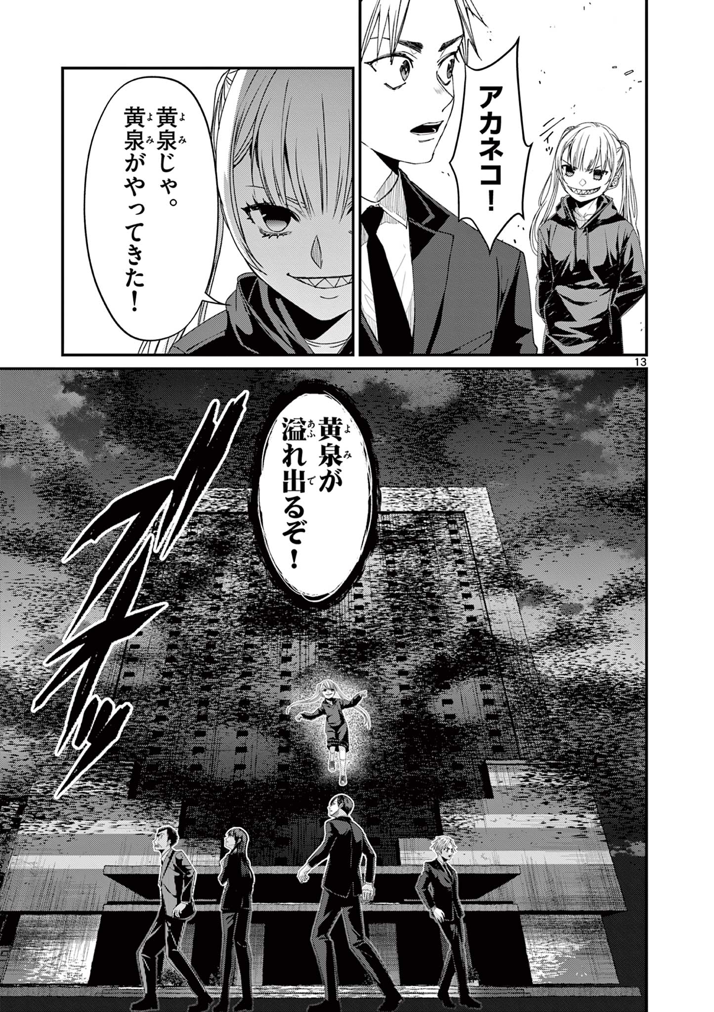 Page 13