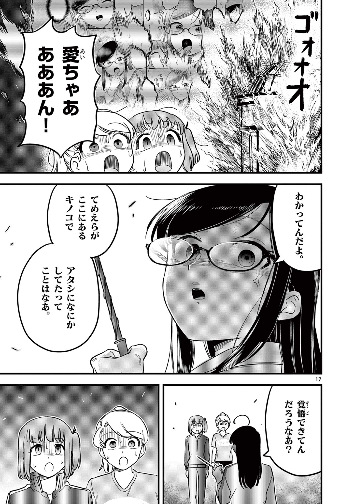 Page 17
