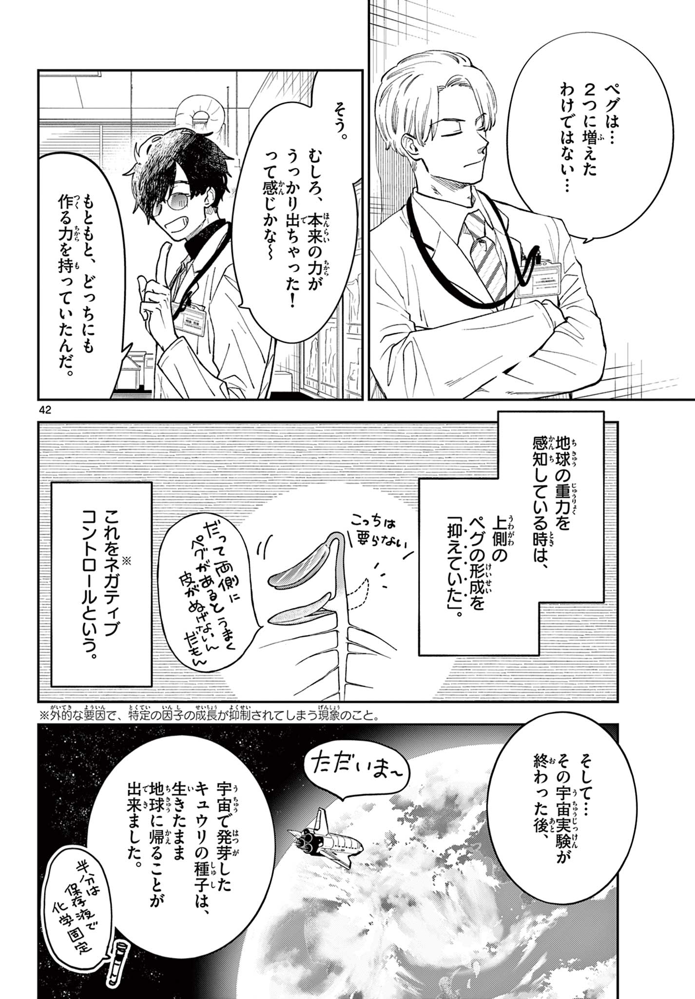 Page 42