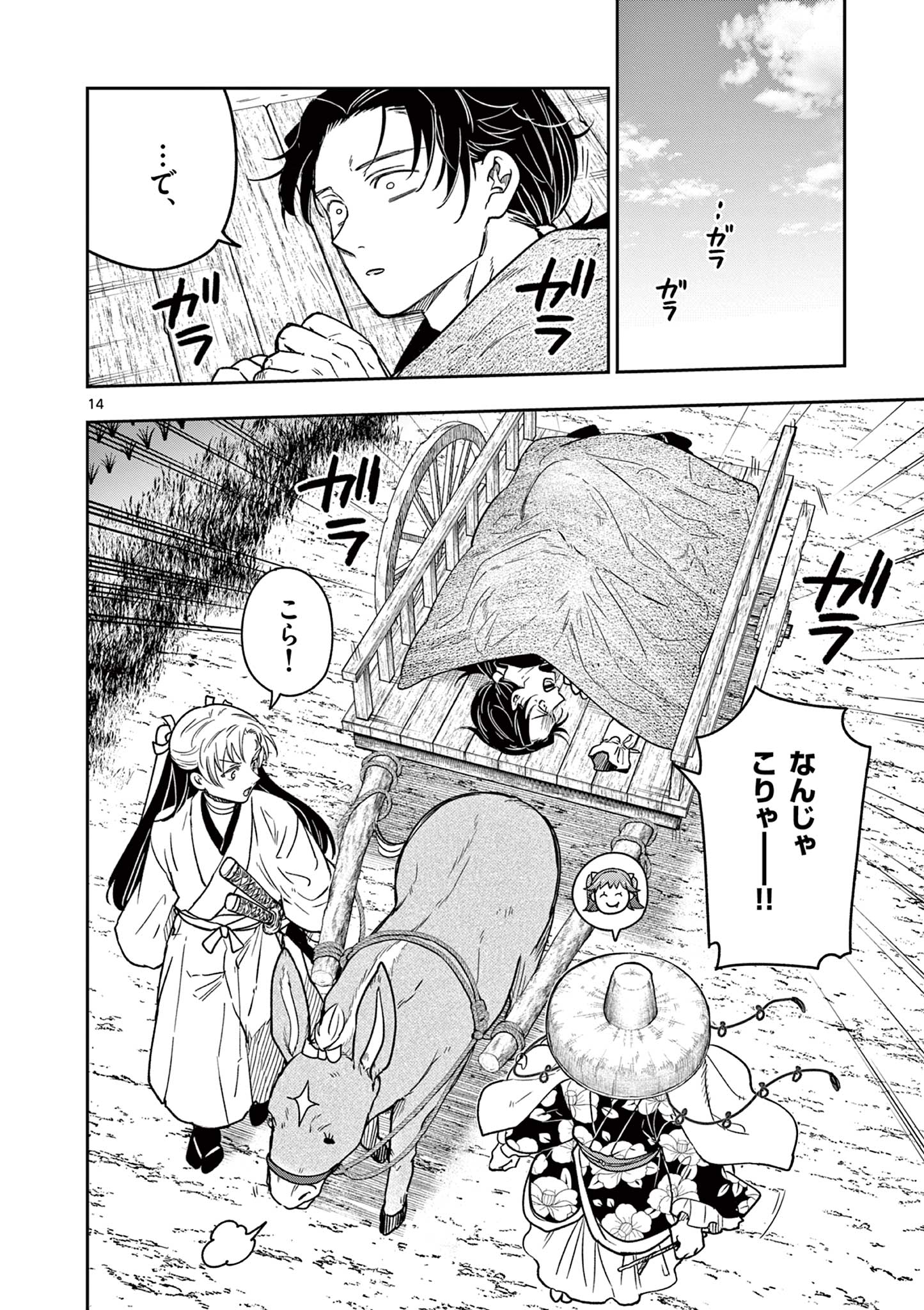 Page 14
