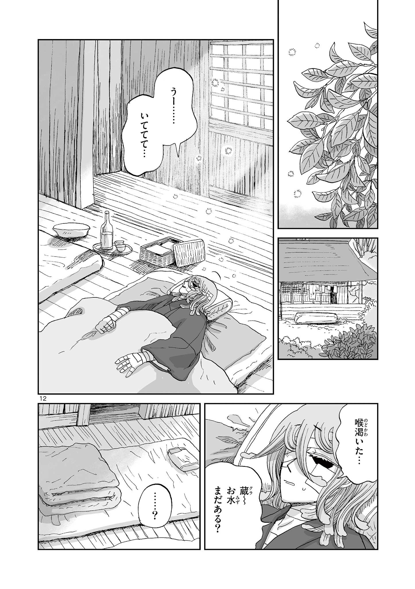 Page 12