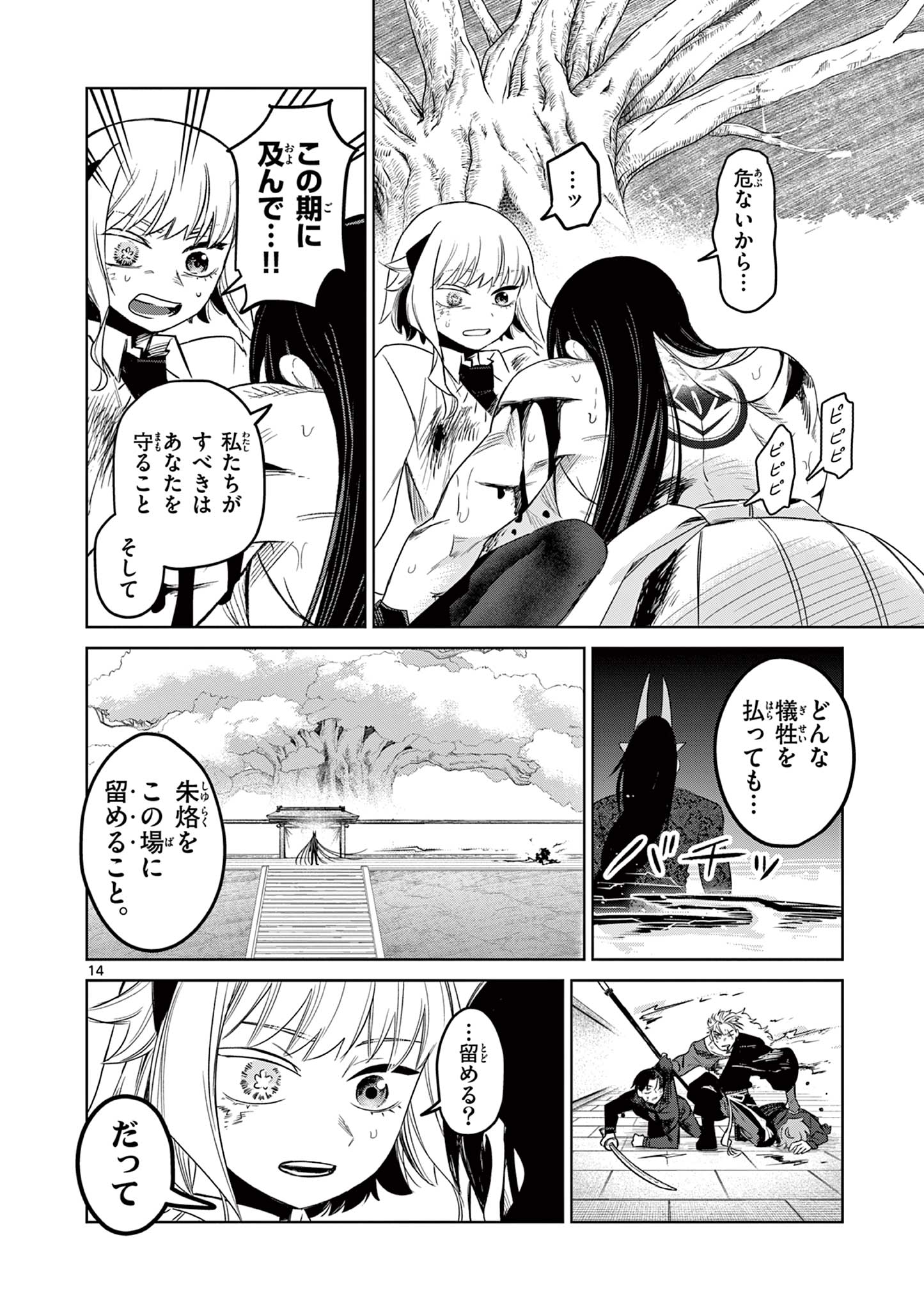 Page 14