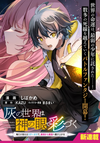 灰の世界は神の眼で彩づく ～俺だけ見えるステータスで、最弱から最強へ駆け上がる～