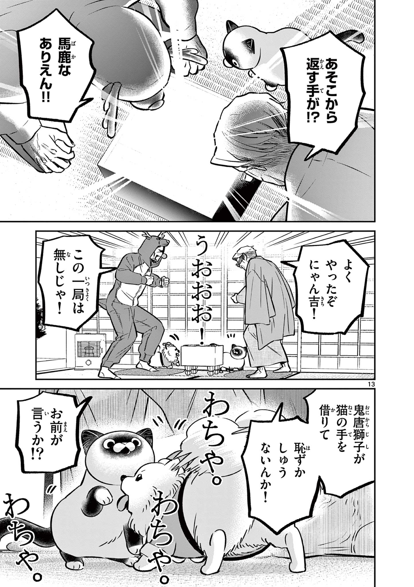 Page 13