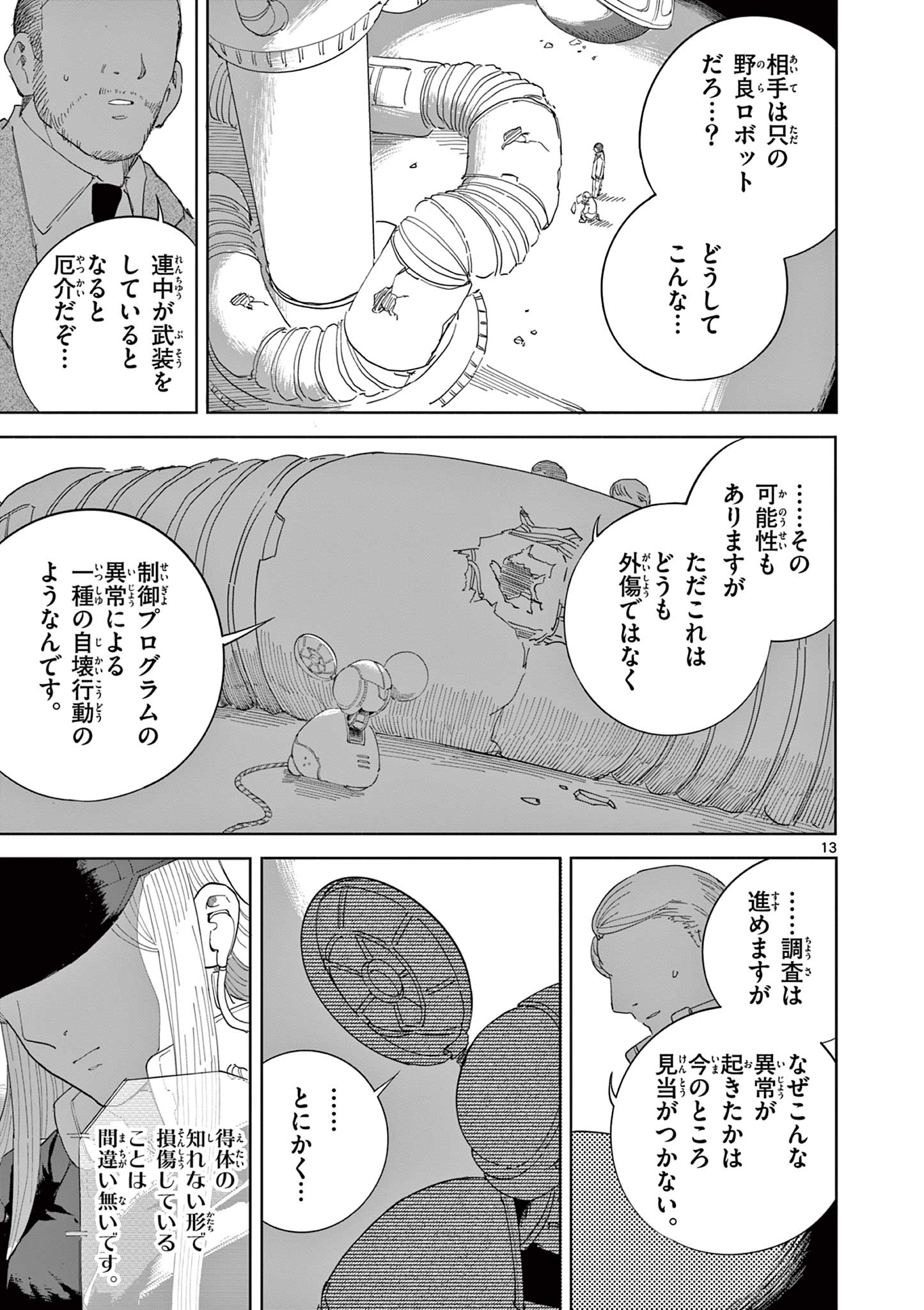 Page 13
