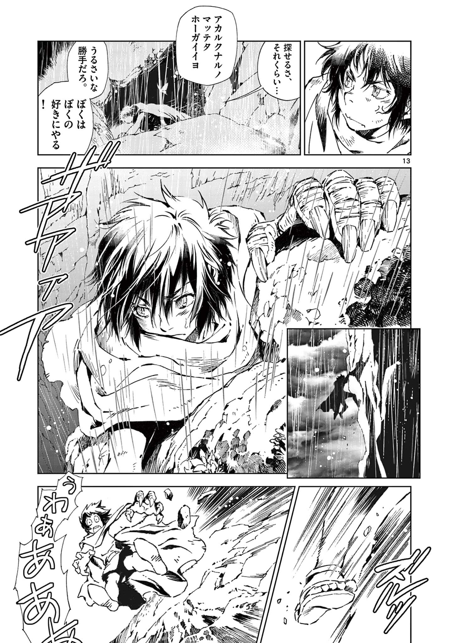 Page 13