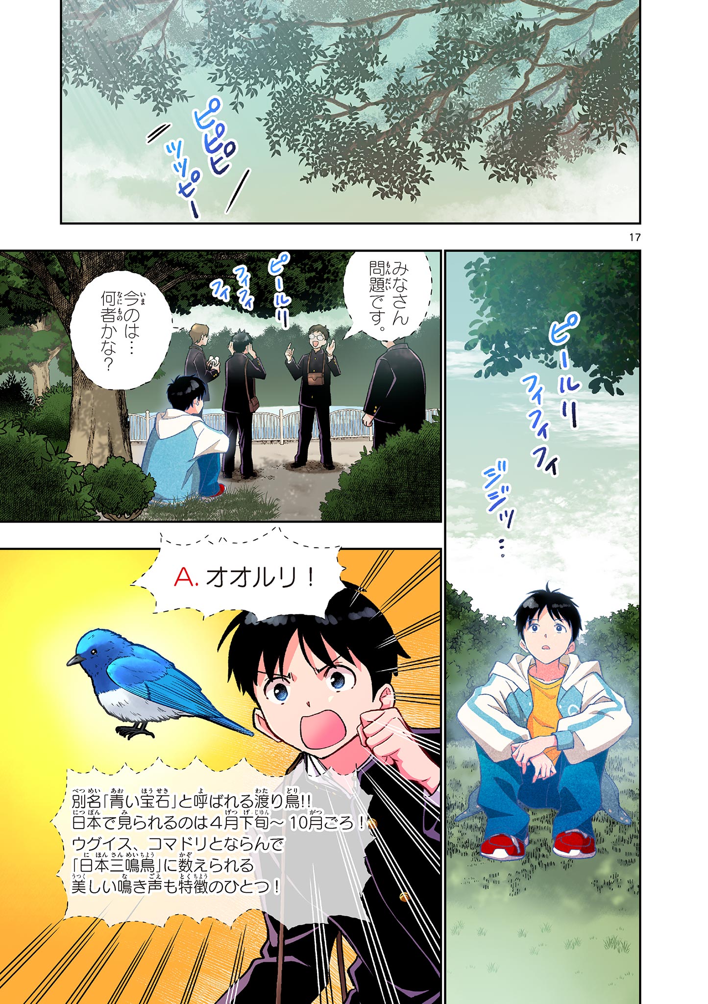 Page 17