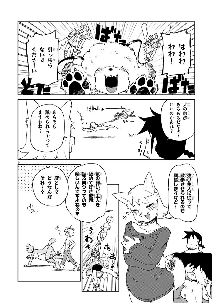 Page 14