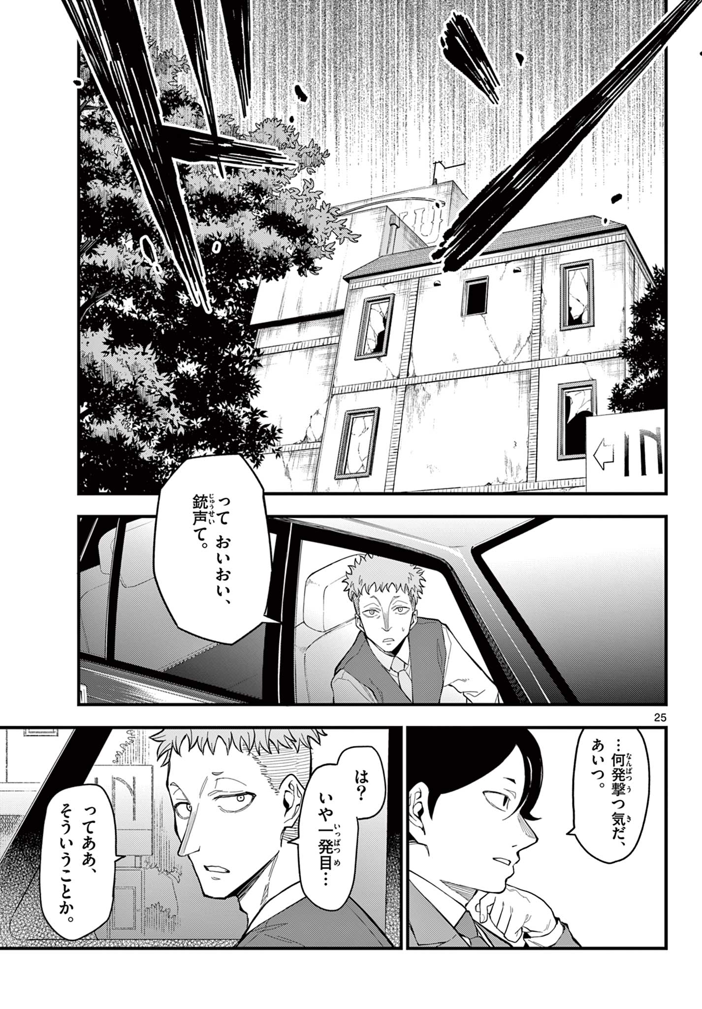 Page 25