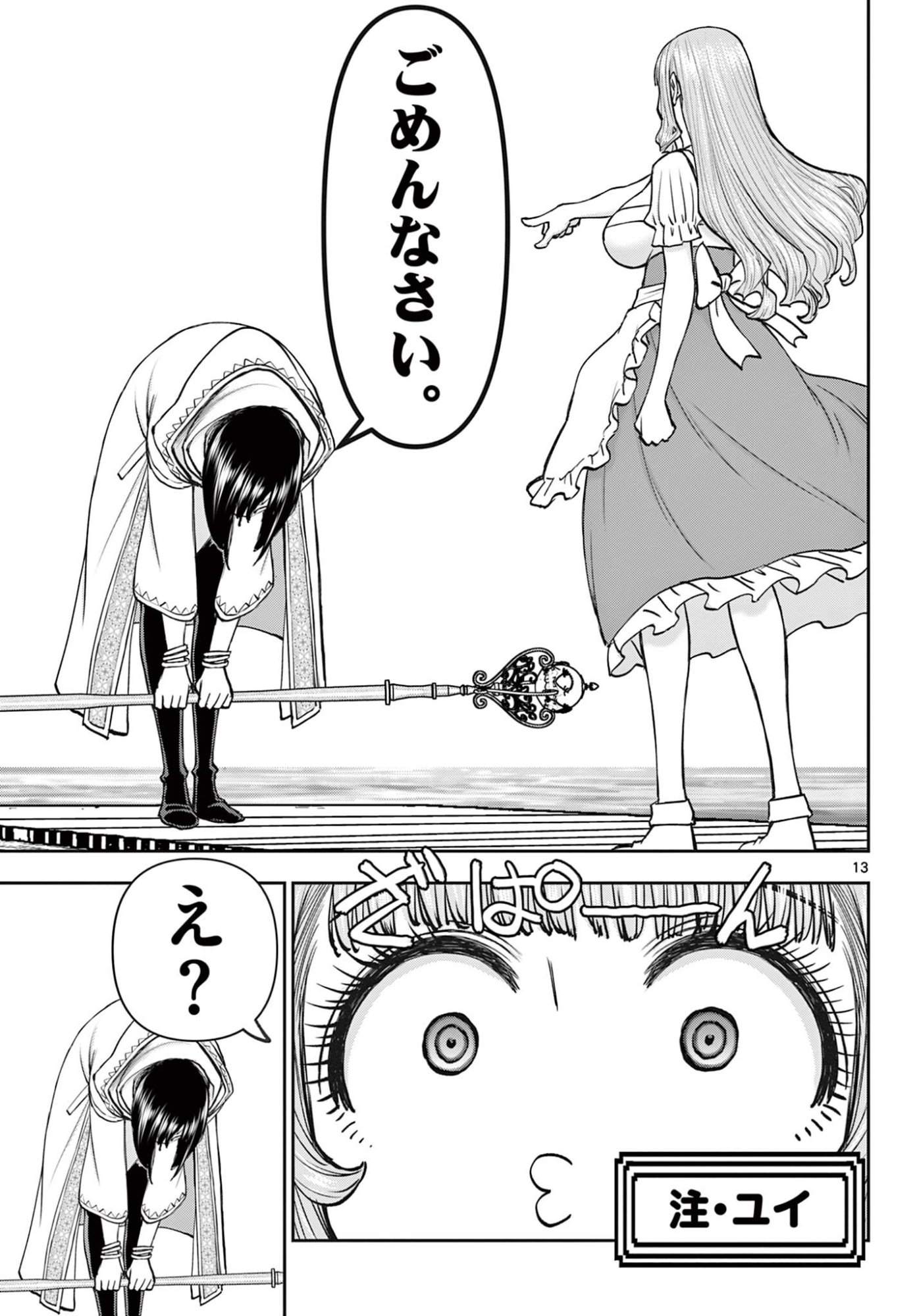 Page 13
