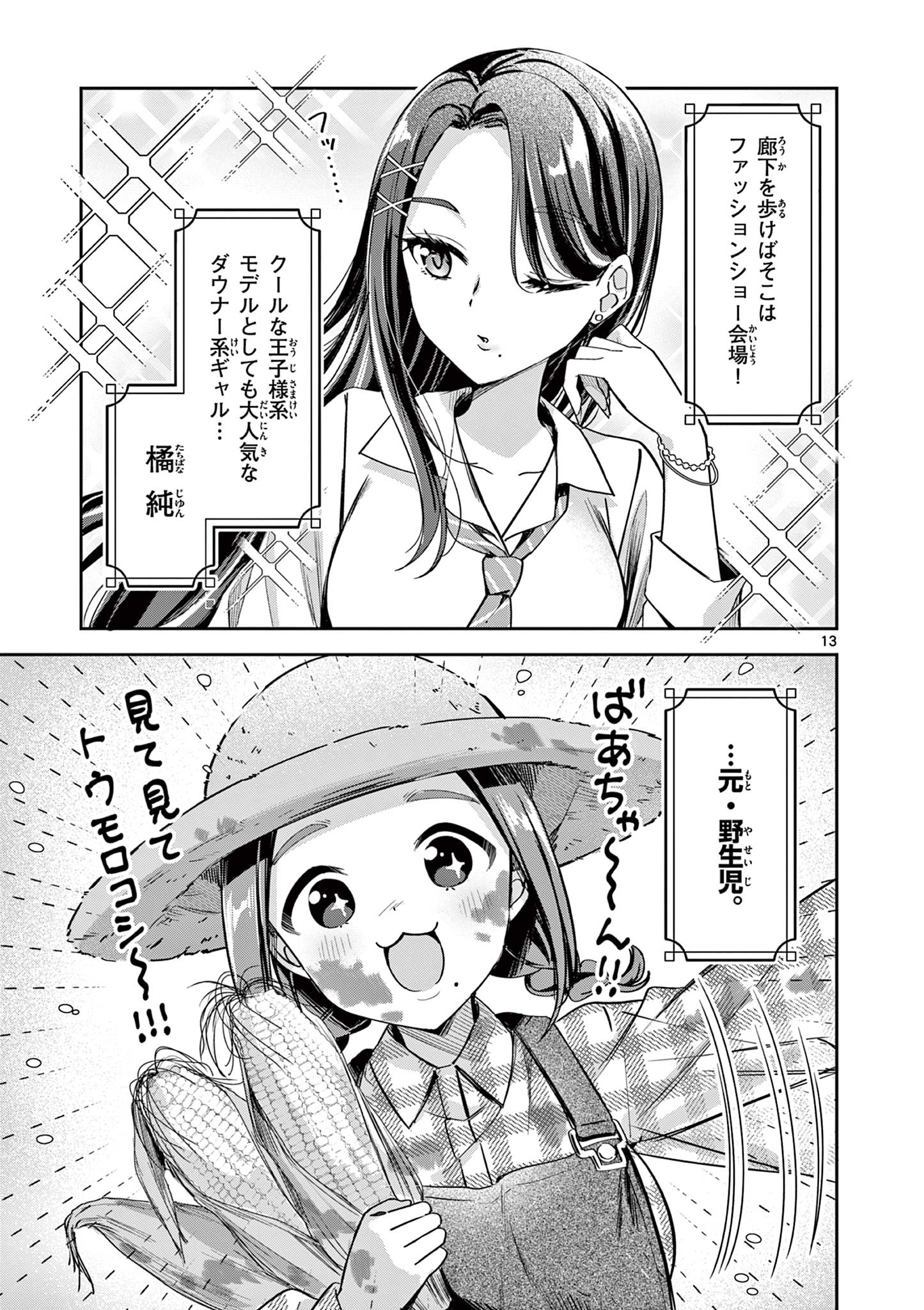 Page 13