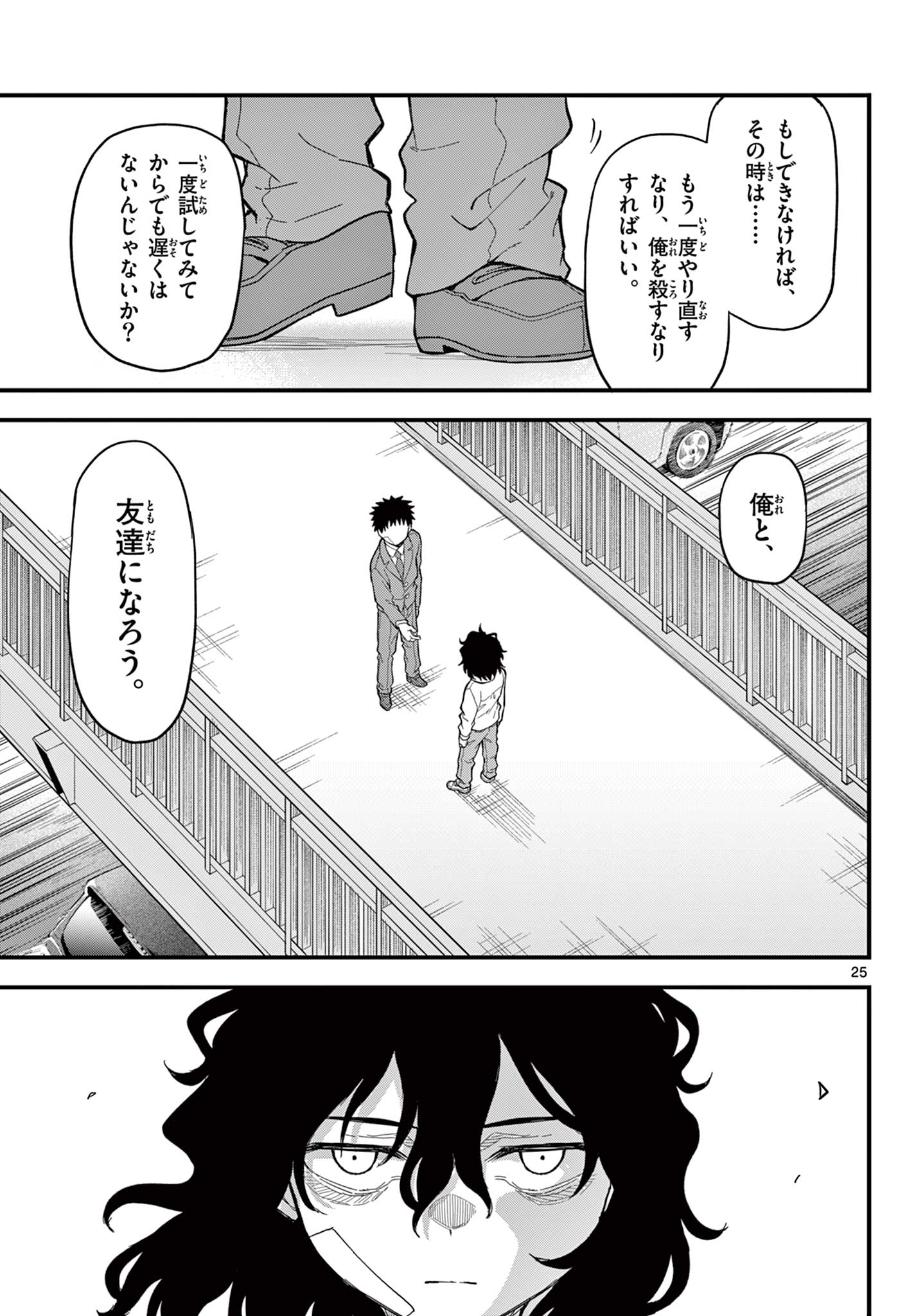 Page 25