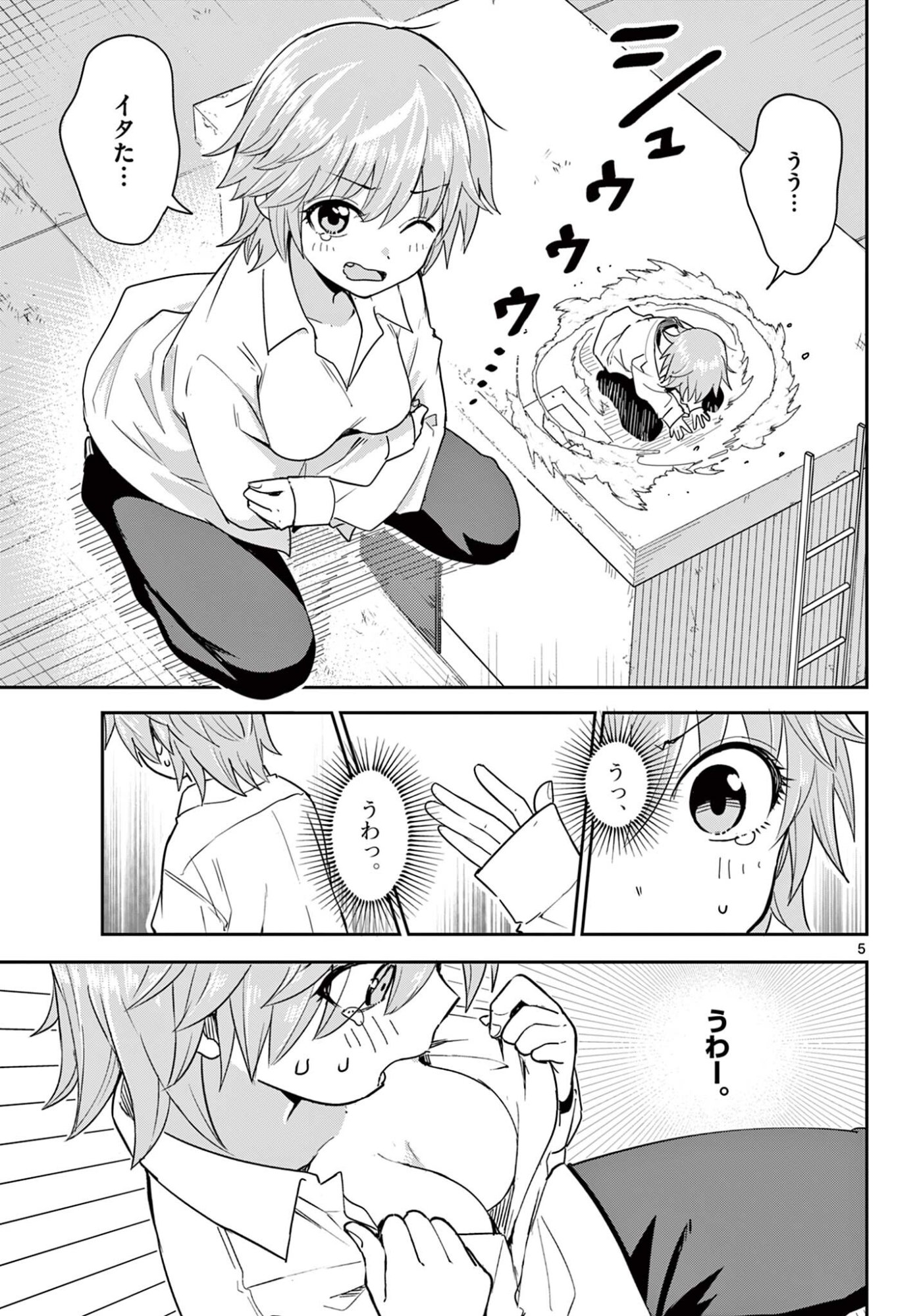 Page 5