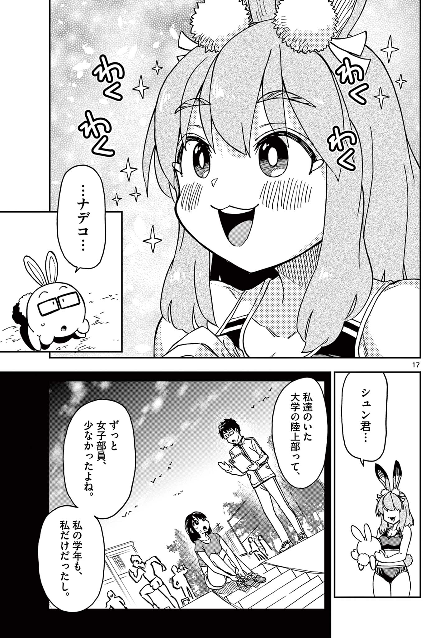 Page 17