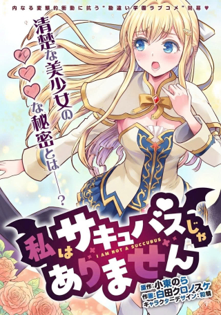 私はサキュバスじゃありません