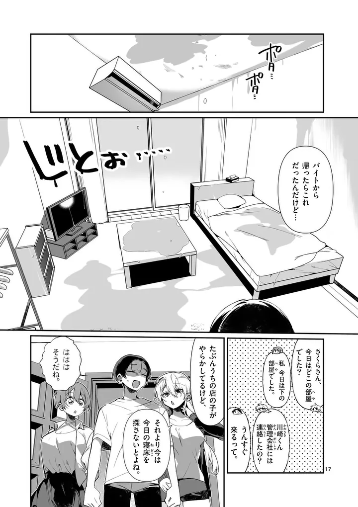 Page 17
