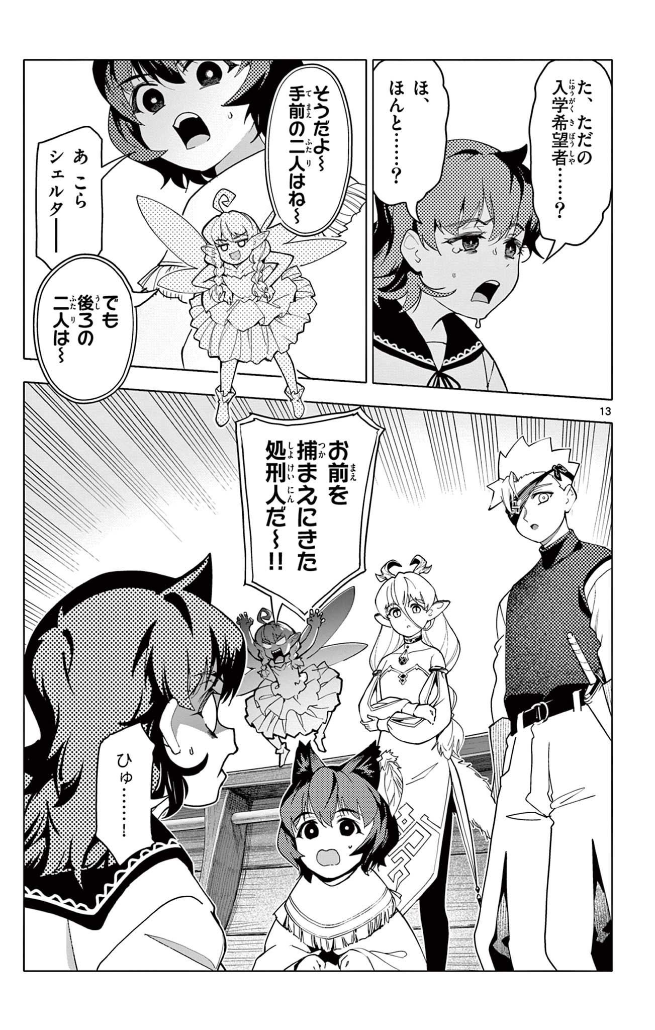 Page 13