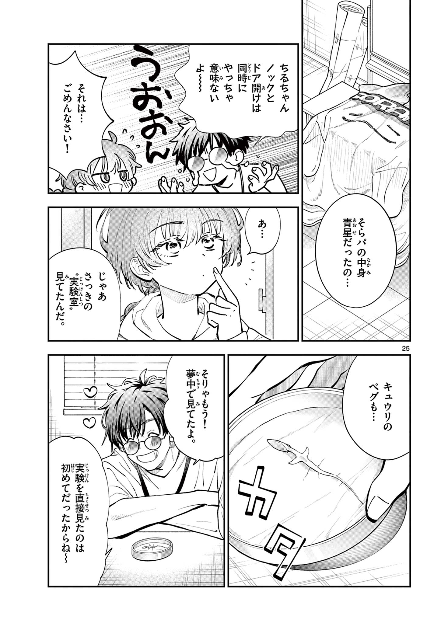 Page 25