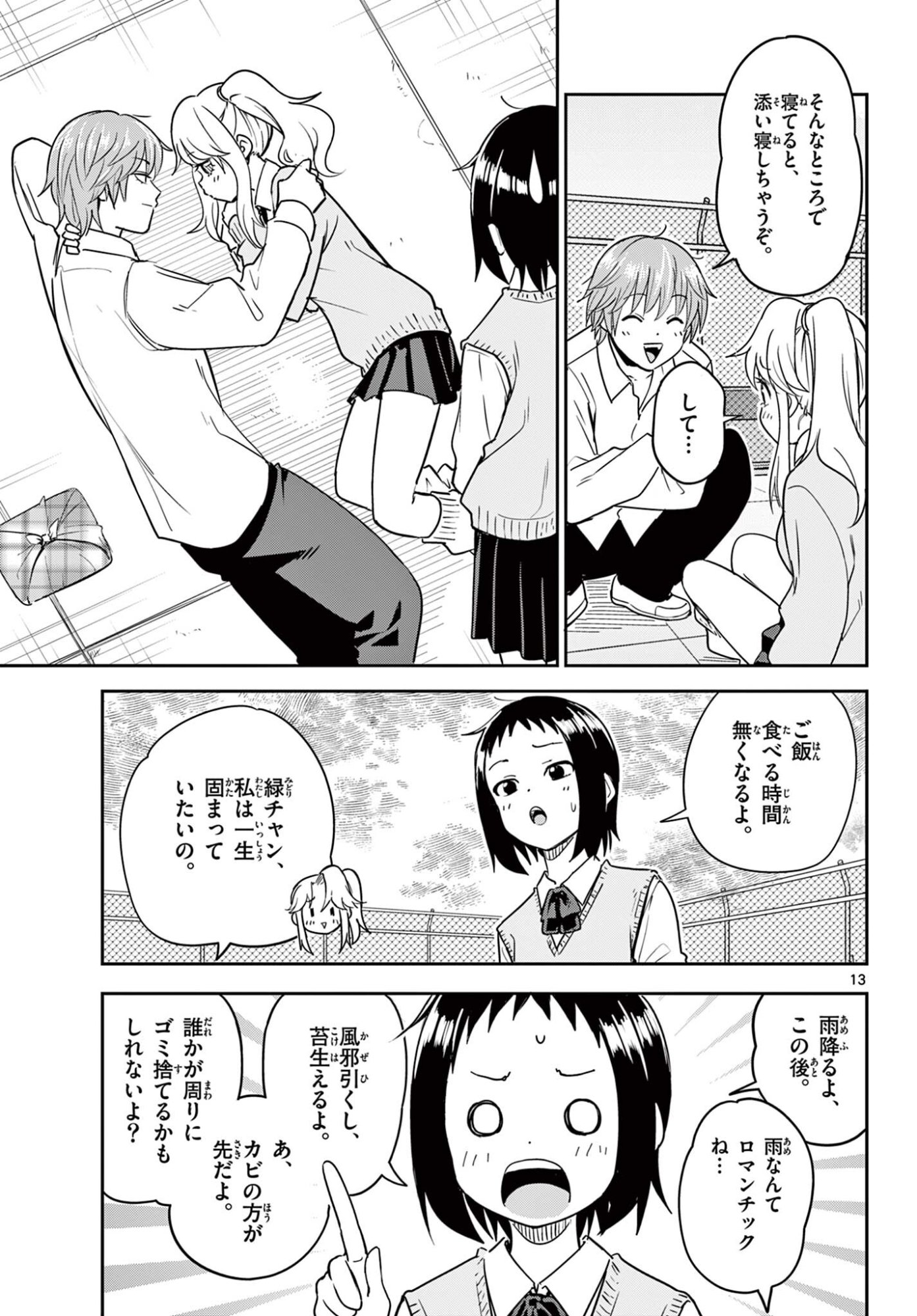 Page 13