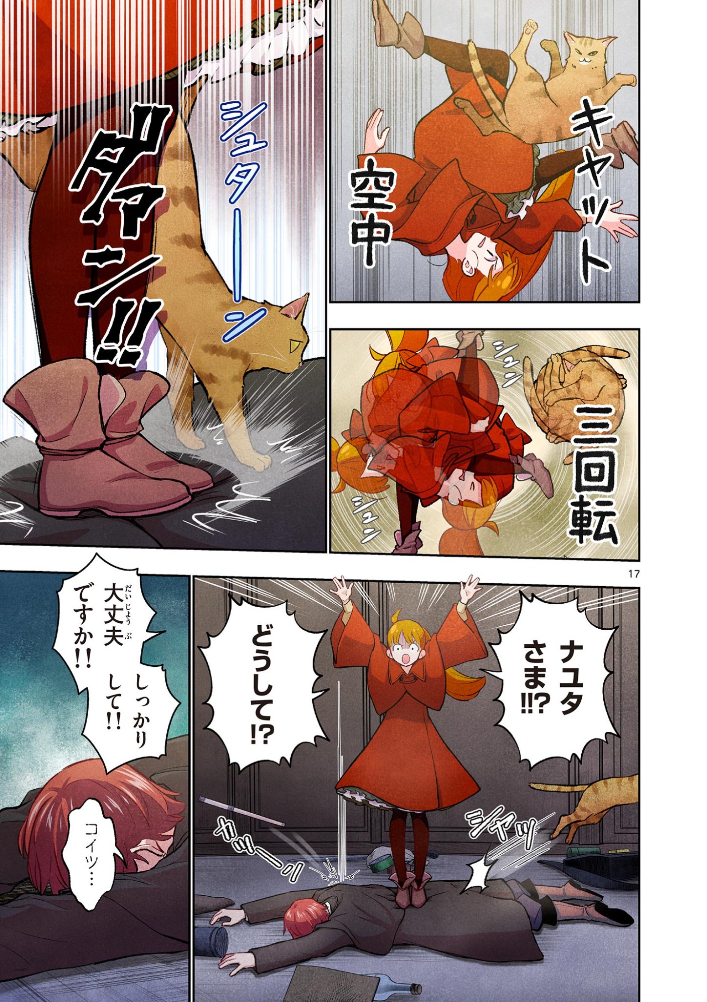 Page 17