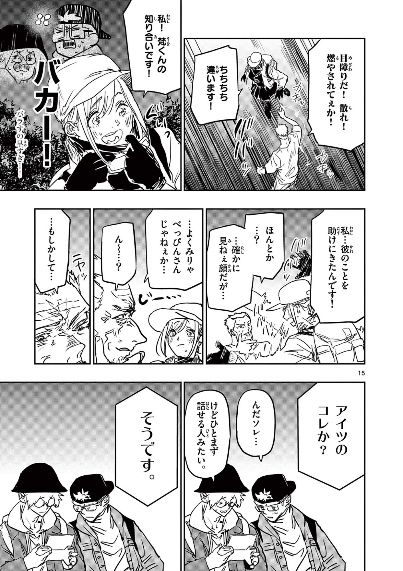 Page 15
