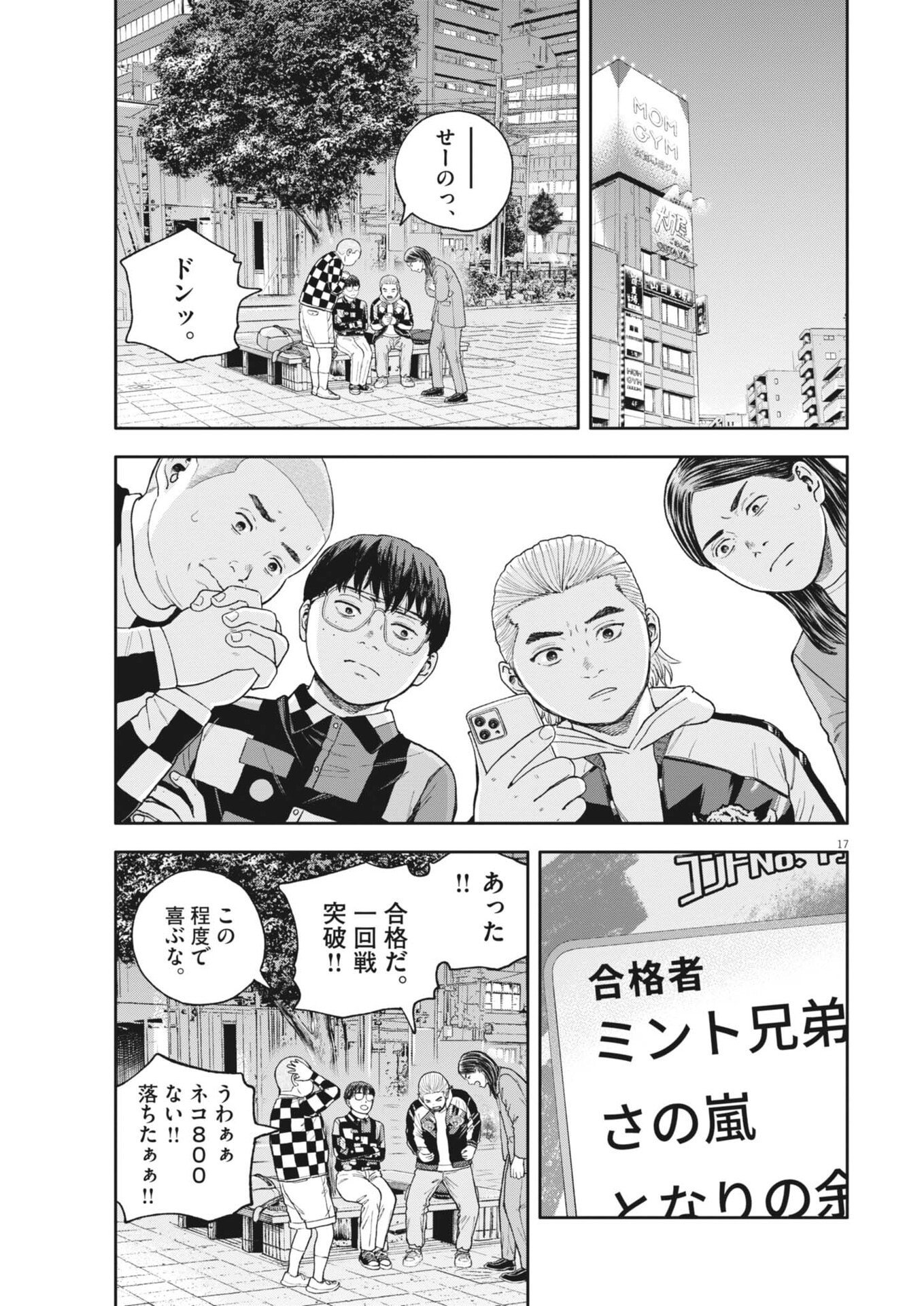 Page 17