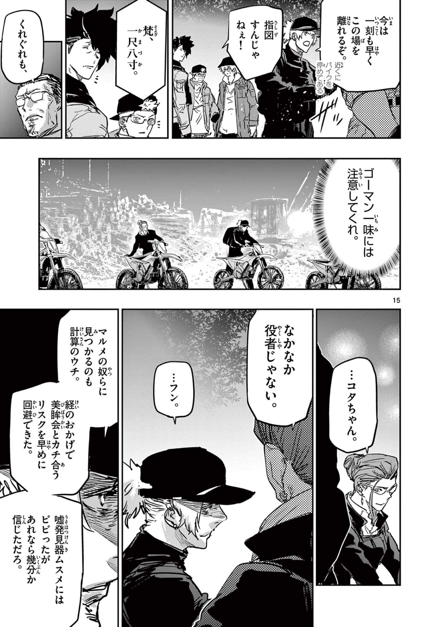 Page 15