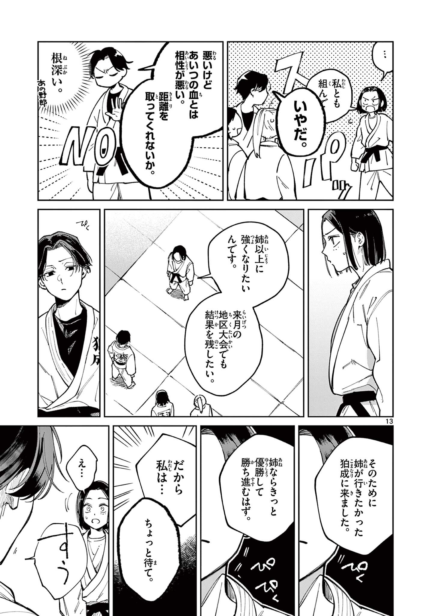 Page 13