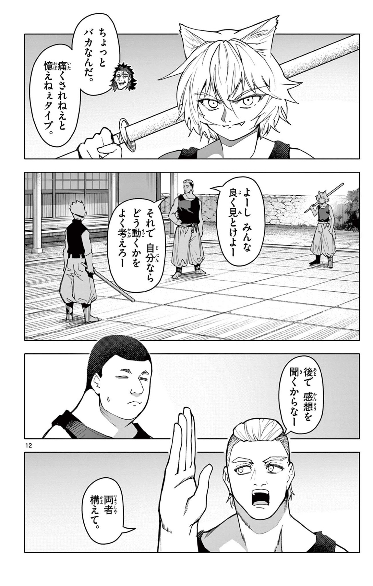 Page 12