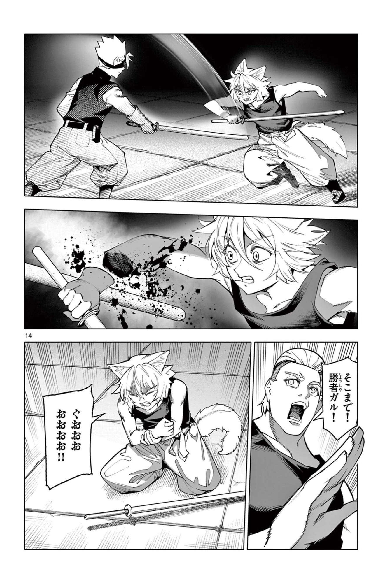 Page 14
