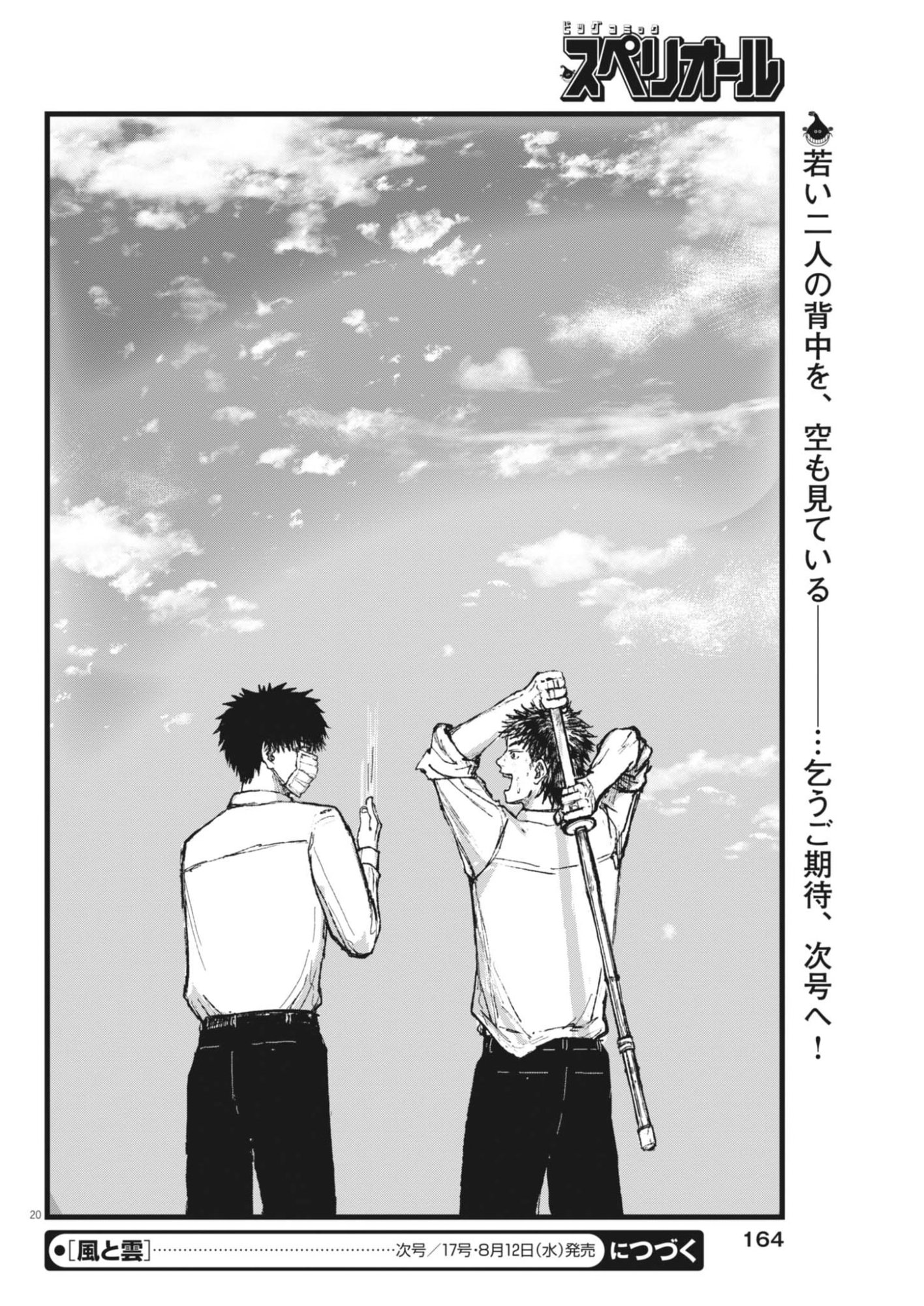 Page 20