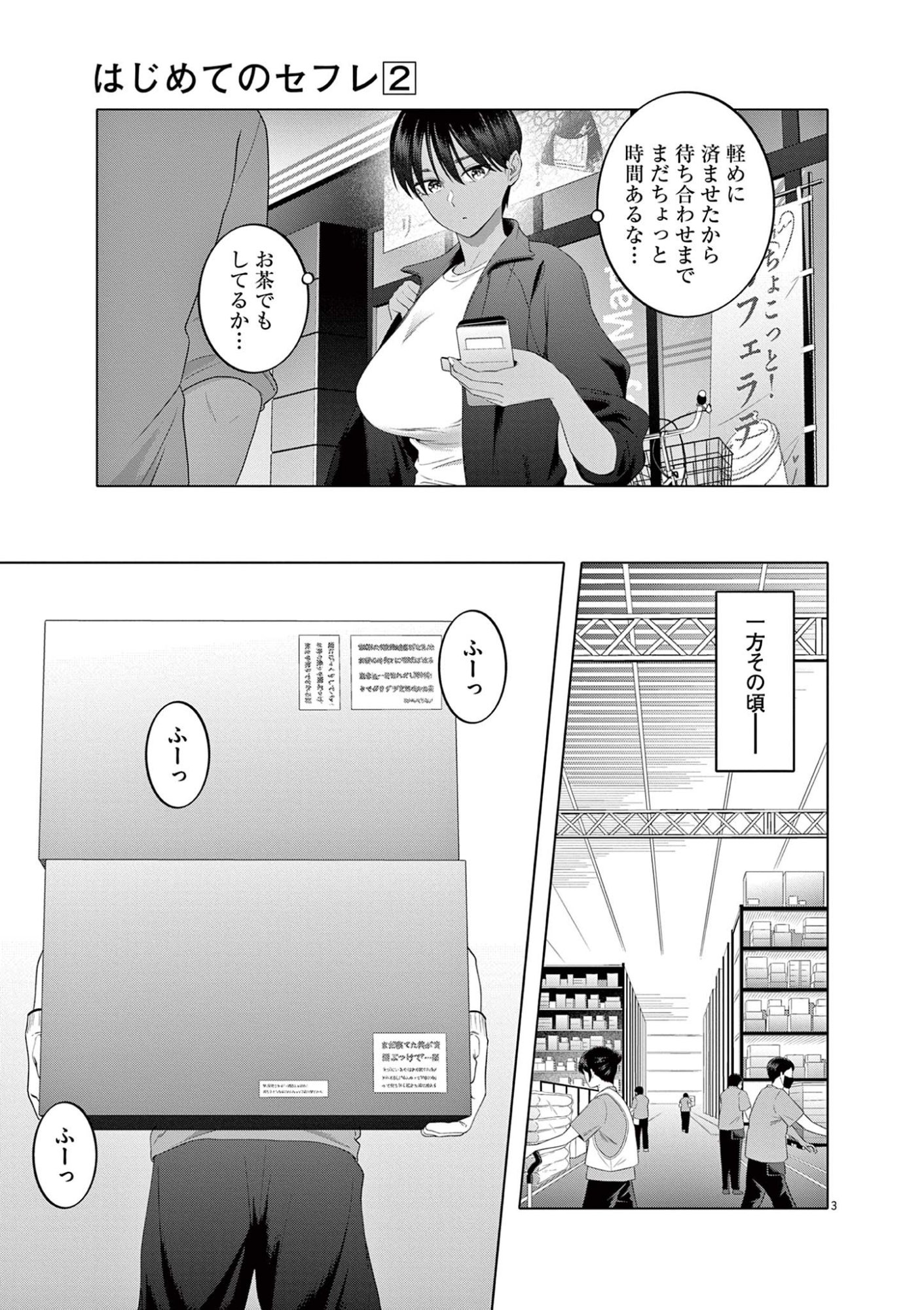 Page 3