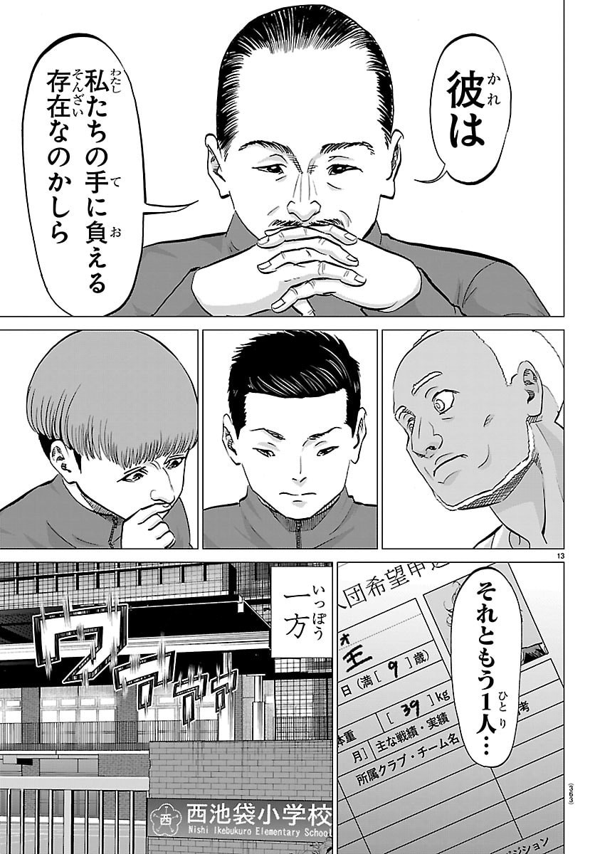 Page 13